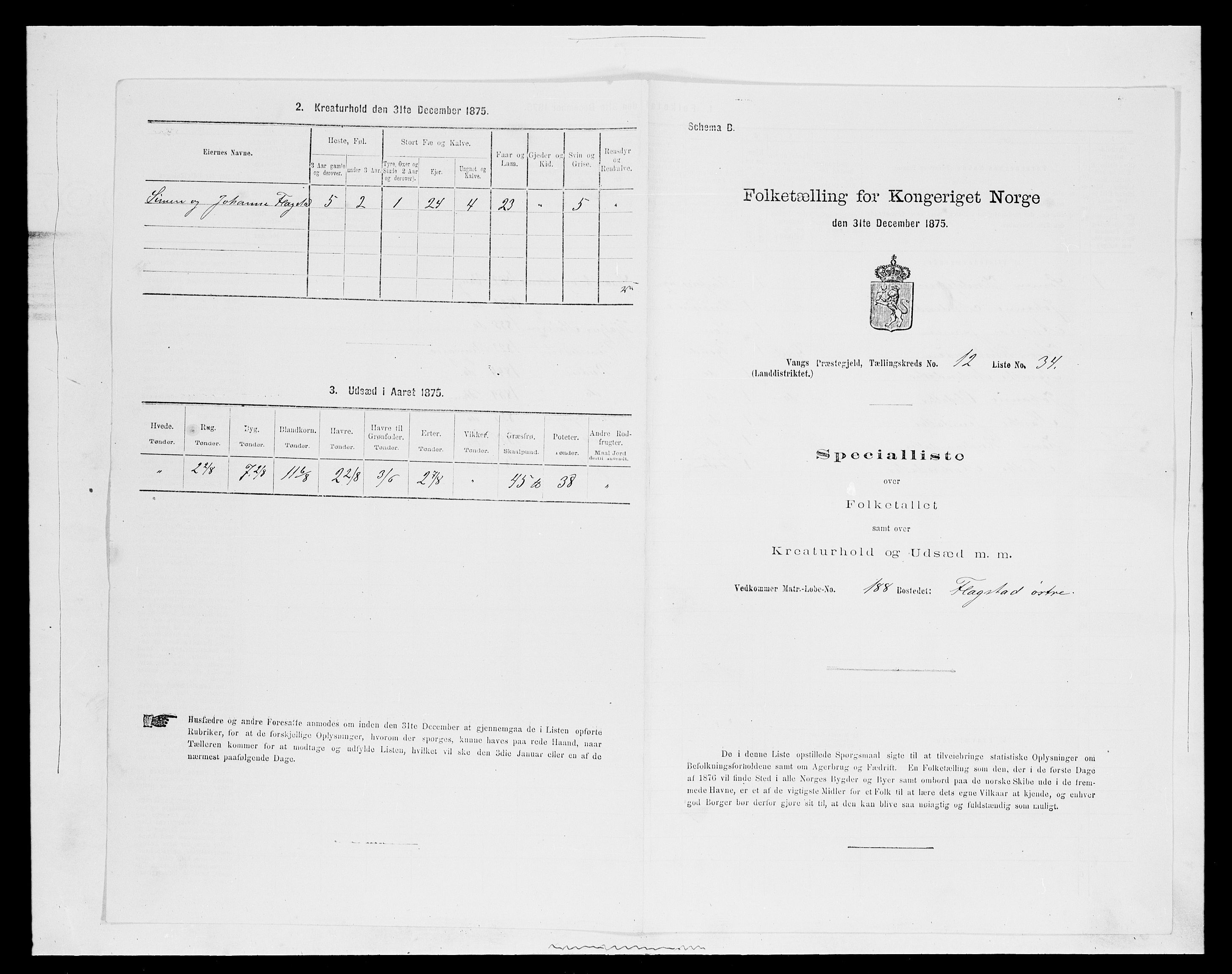 SAH, Folketelling 1875 for 0414L Vang prestegjeld, Vang sokn og Furnes sokn, 1875, s. 2690