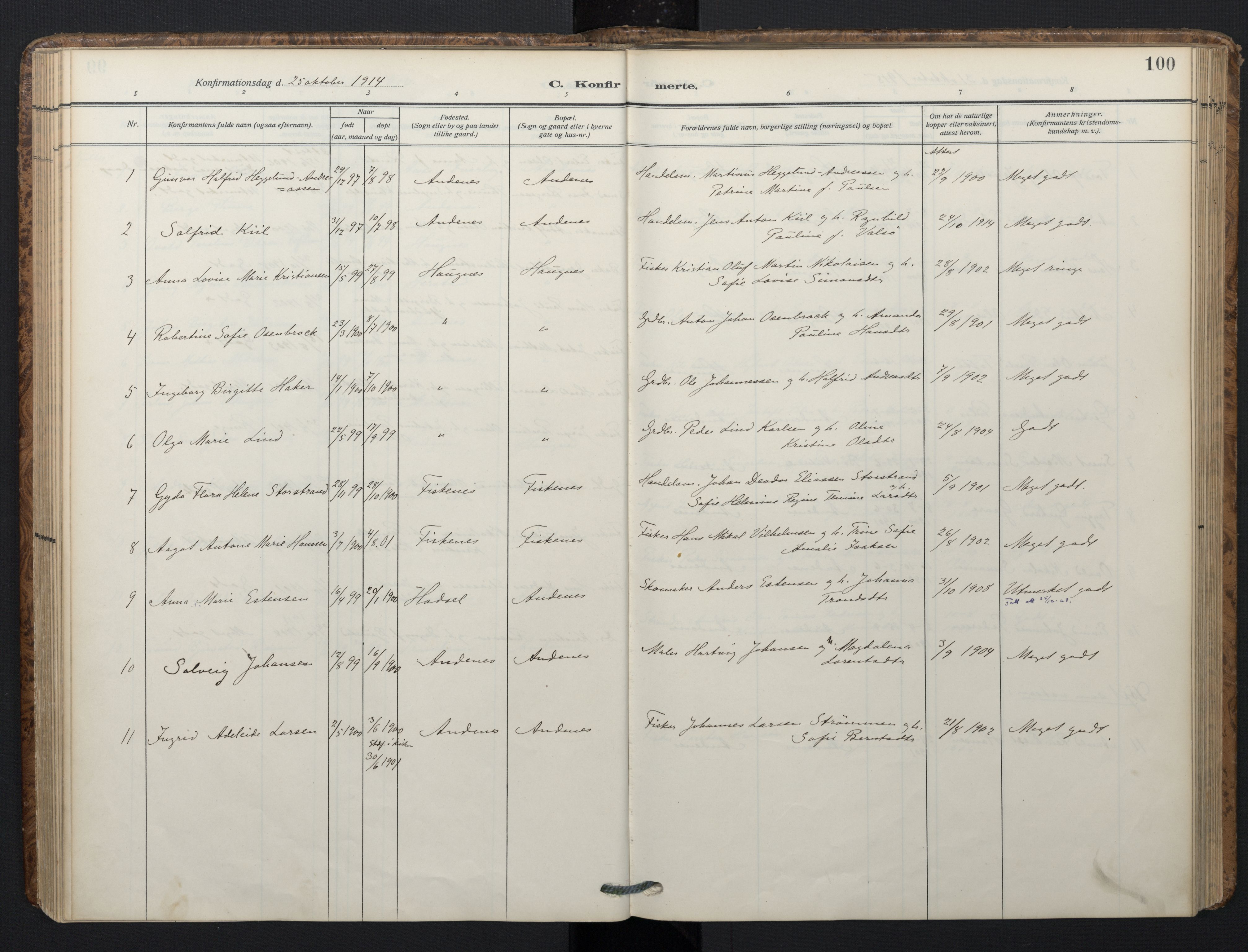 Ministerialprotokoller, klokkerbøker og fødselsregistre - Nordland, AV/SAT-A-1459/899/L1438: Ministerialbok nr. 899A06, 1909-1922, s. 100