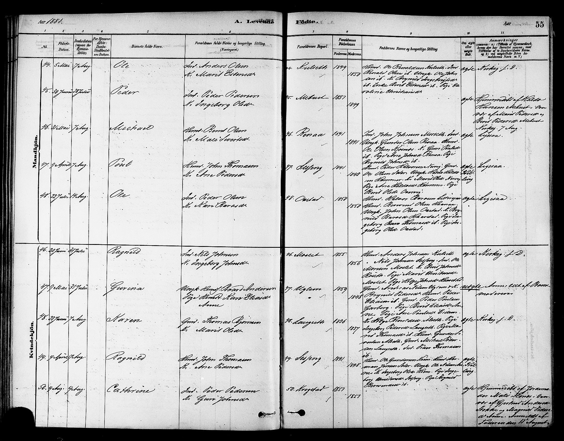Ministerialprotokoller, klokkerbøker og fødselsregistre - Sør-Trøndelag, SAT/A-1456/695/L1148: Ministerialbok nr. 695A08, 1878-1891, s. 55