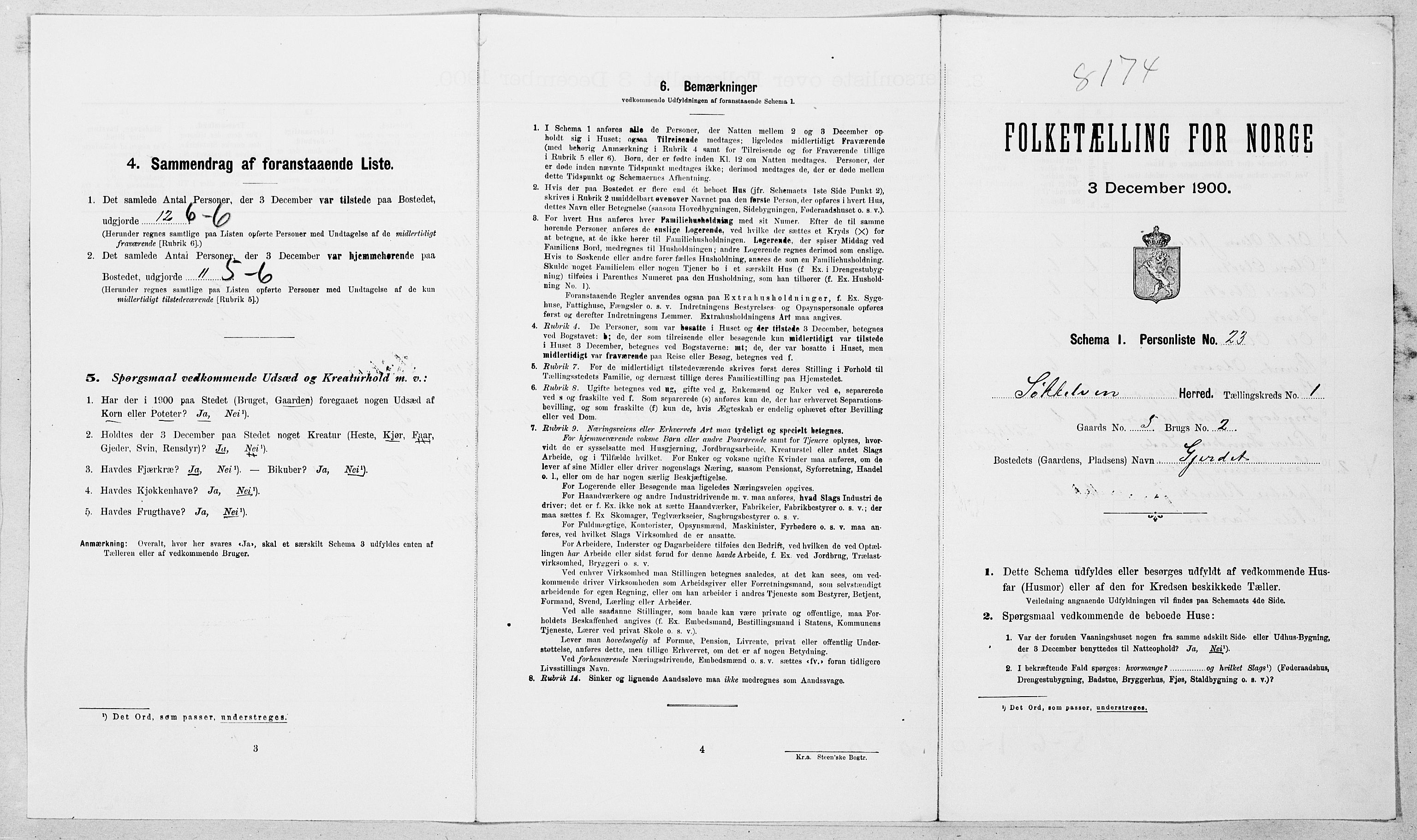 SAT, Folketelling 1900 for 1528 Sykkylven herred, 1900, s. 102