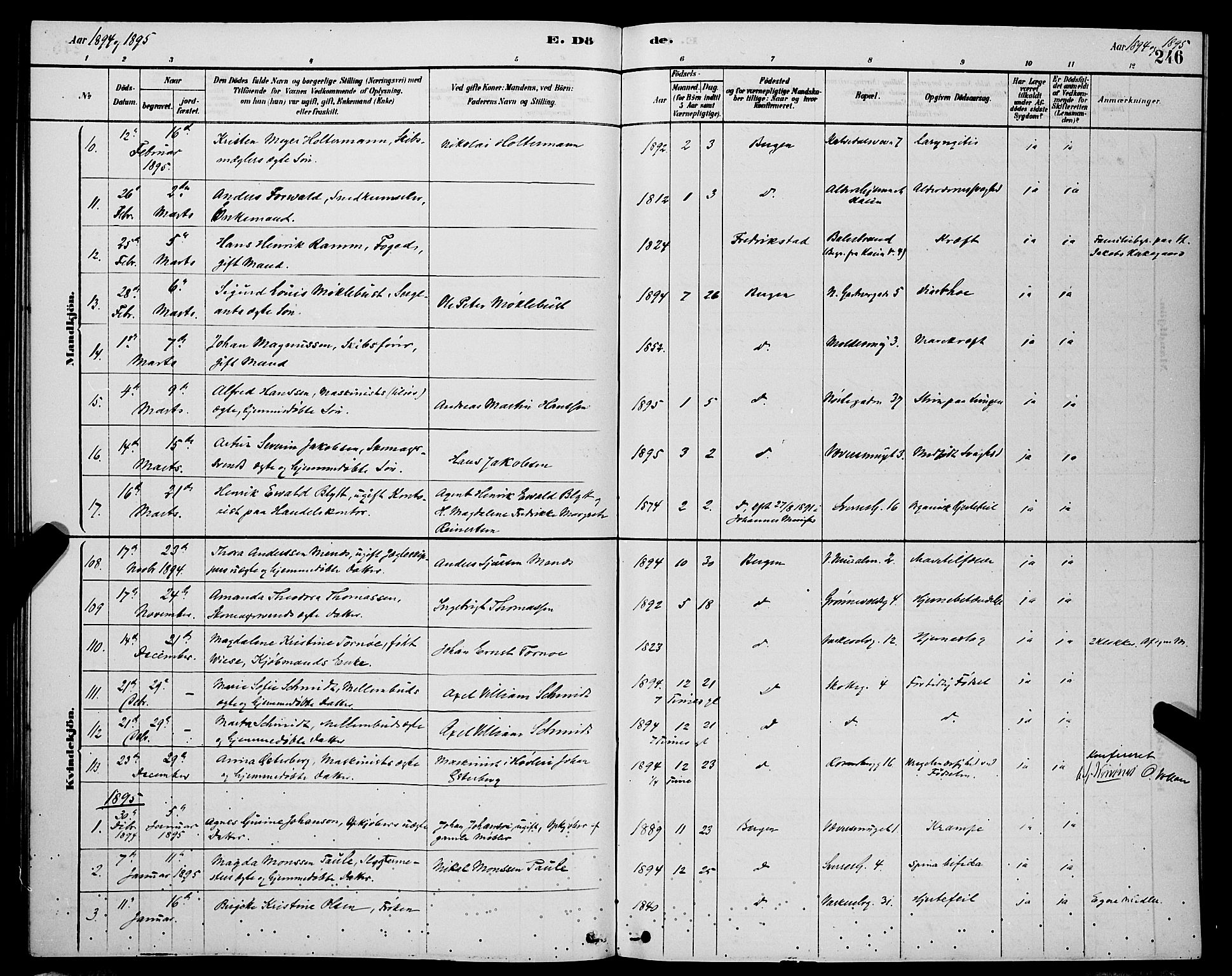 Domkirken sokneprestembete, AV/SAB-A-74801/H/Hab/L0041: Klokkerbok nr. E 5, 1878-1900, s. 246