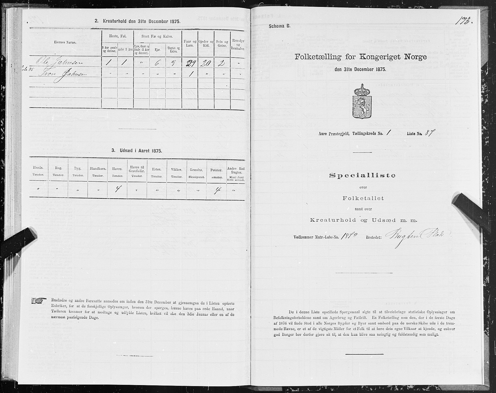 SAT, Folketelling 1875 for 1569P Aure prestegjeld, 1875, s. 1173