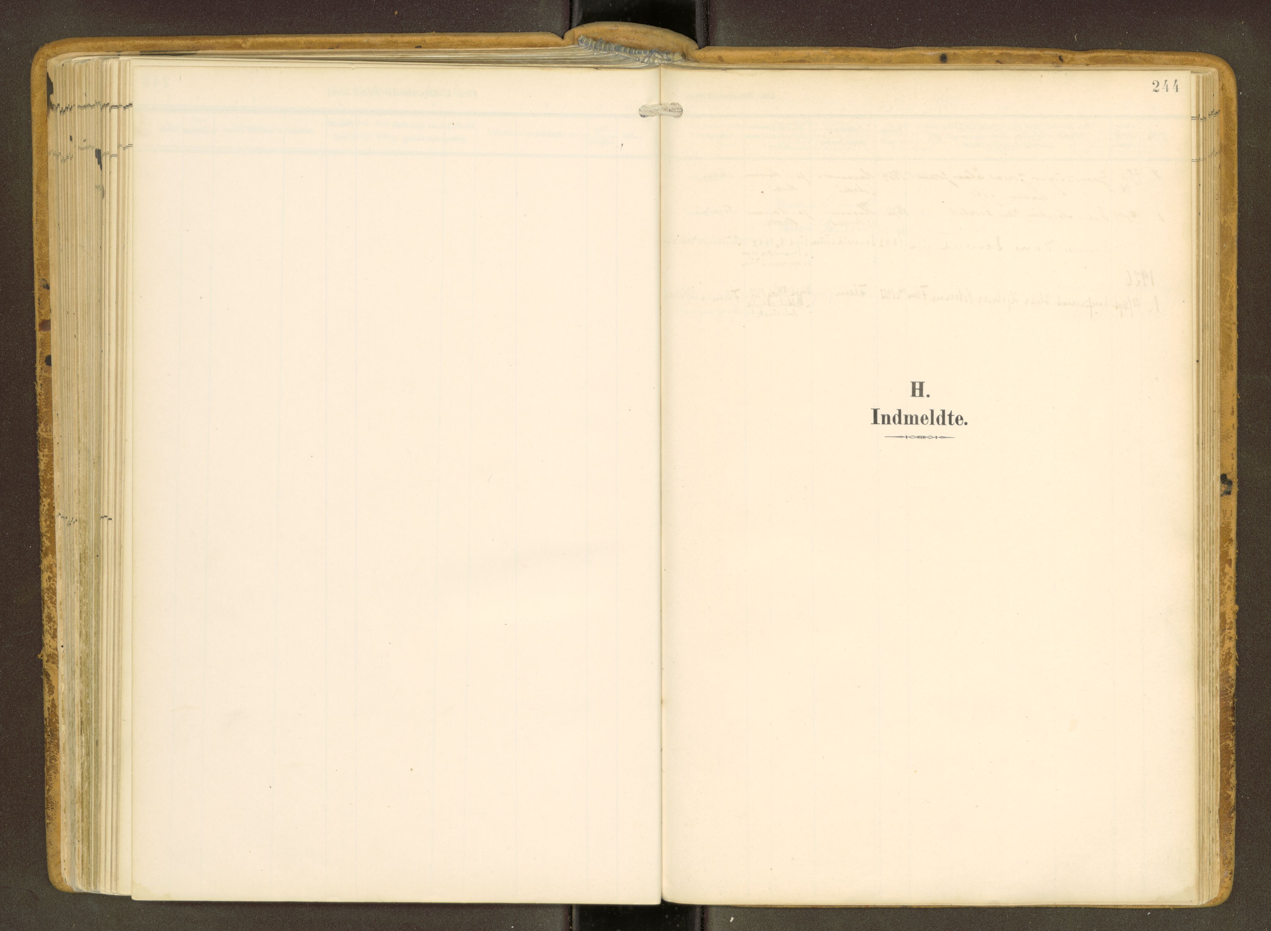 Ministerialprotokoller, klokkerbøker og fødselsregistre - Møre og Romsdal, AV/SAT-A-1454/536/L0517: Ministerialbok nr. 536A--, 1897-1917, s. 244