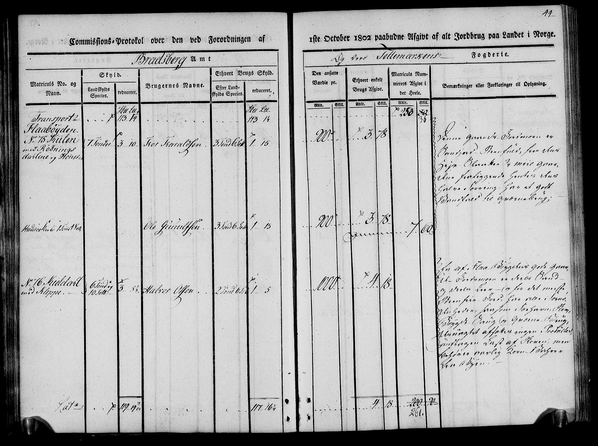 Rentekammeret inntil 1814, Realistisk ordnet avdeling, RA/EA-4070/N/Ne/Nea/L0075: Øvre Telemarken fogderi. Kommisjonsprotokoll for fogderiets vestre del - Kviteseid, Vinje, Moland [):Fyresdal] og Lårdal prestegjeld., 1803, s. 44