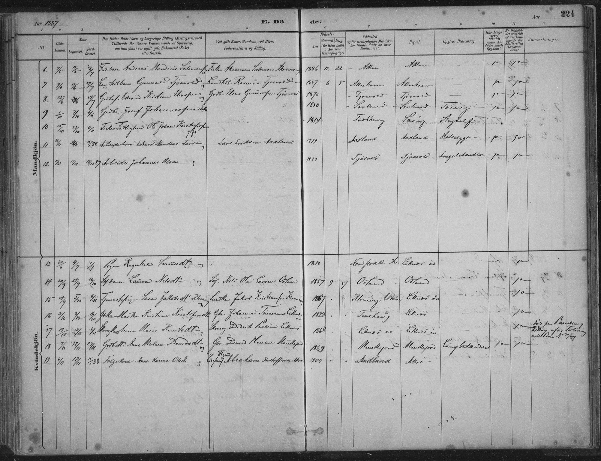 Kopervik sokneprestkontor, AV/SAST-A-101850/H/Ha/Haa/L0004: Ministerialbok nr. A 4, 1882-1905, s. 224