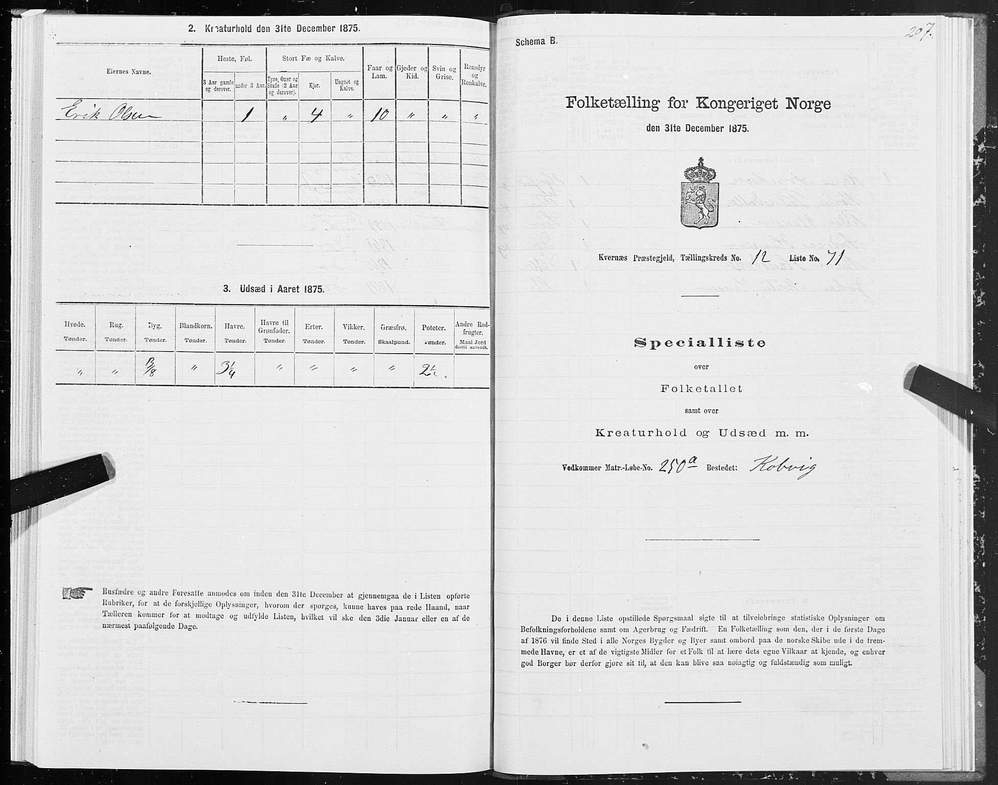 SAT, Folketelling 1875 for 1553P Kvernes prestegjeld, 1875, s. 6207