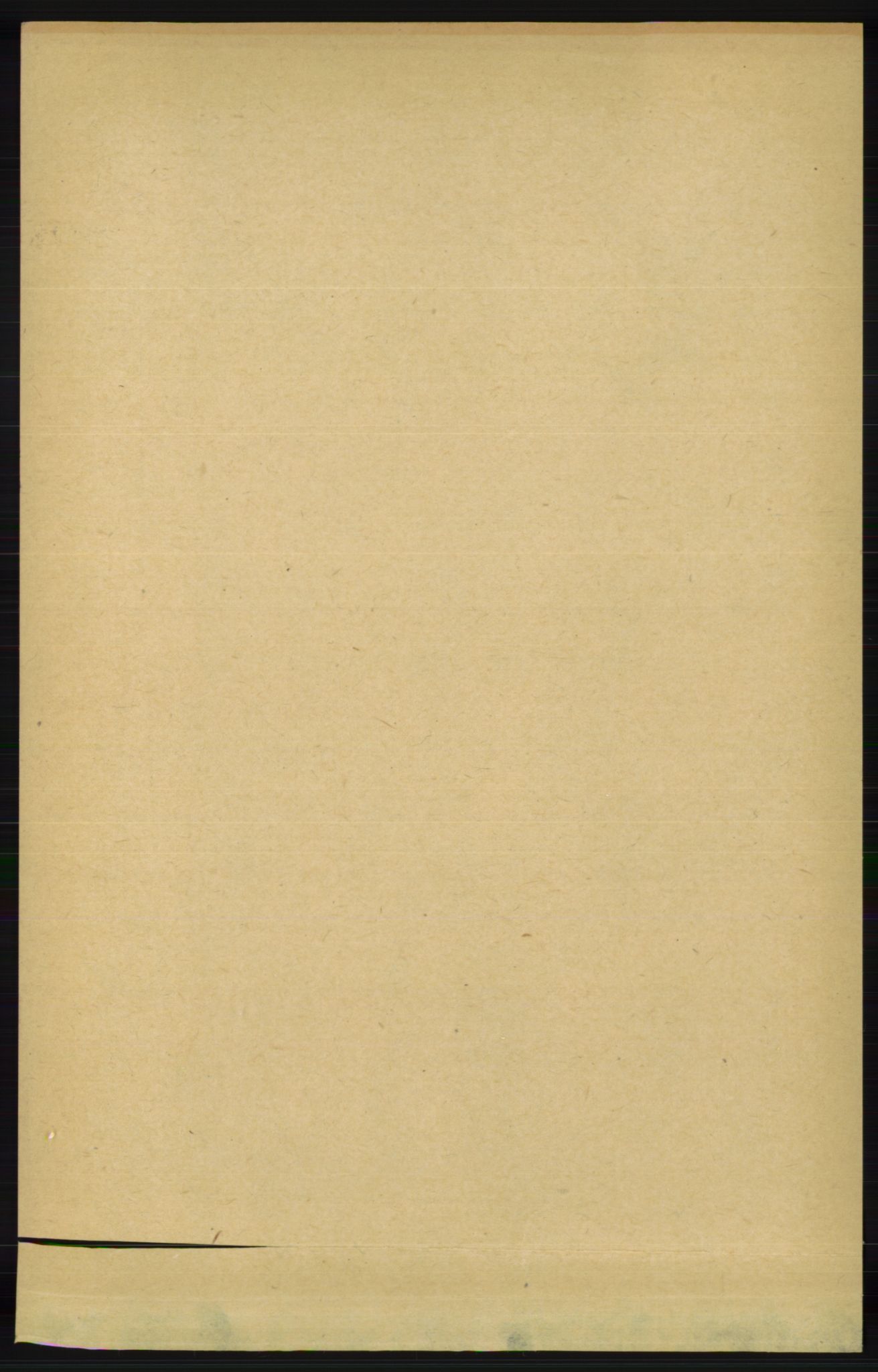 RA, Folketelling 1891 for 1024 Bjelland og Grindheim herred, 1891, s. 2079