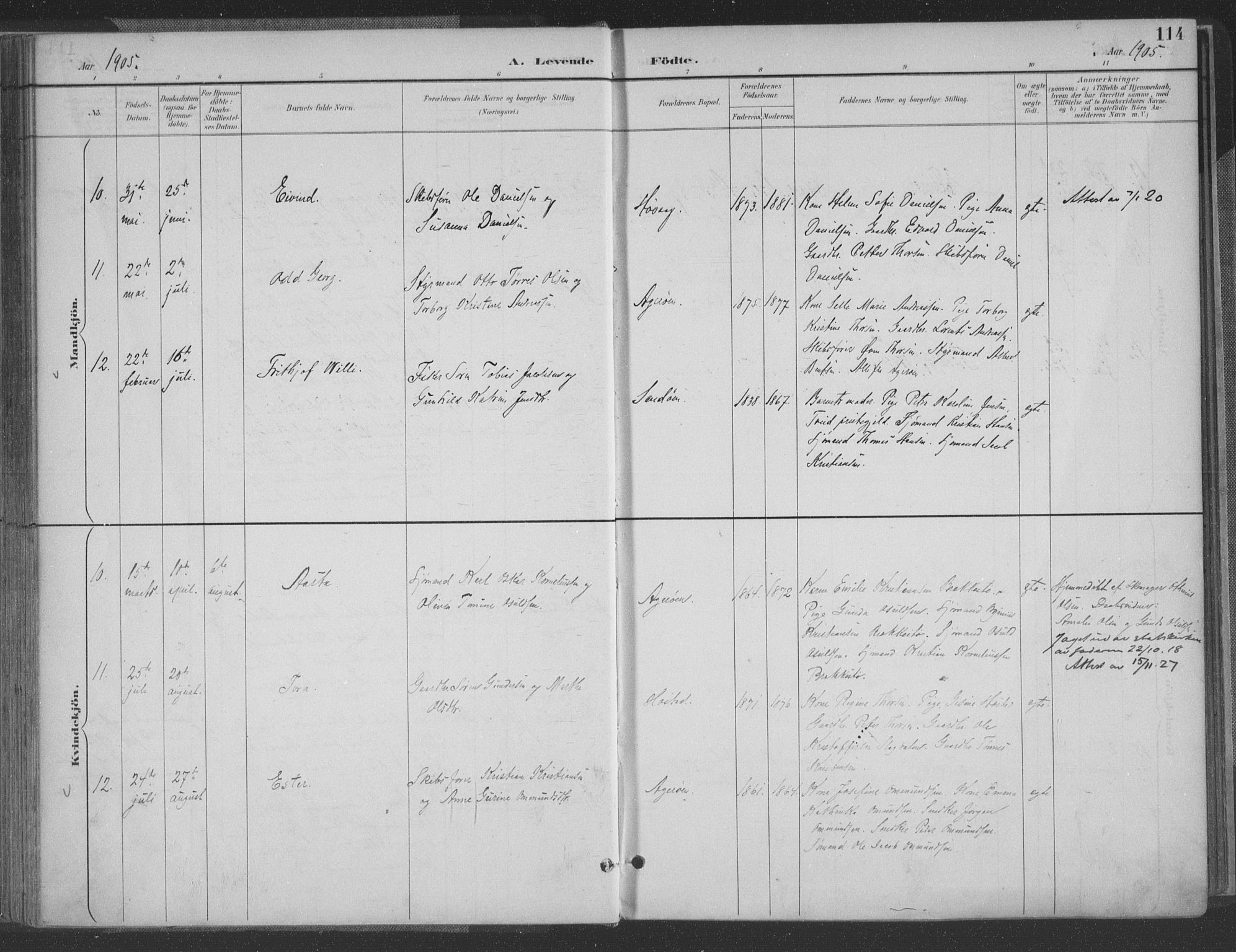 Høvåg sokneprestkontor, AV/SAK-1111-0025/F/Fa/L0006: Ministerialbok nr. A 6, 1894-1923, s. 114