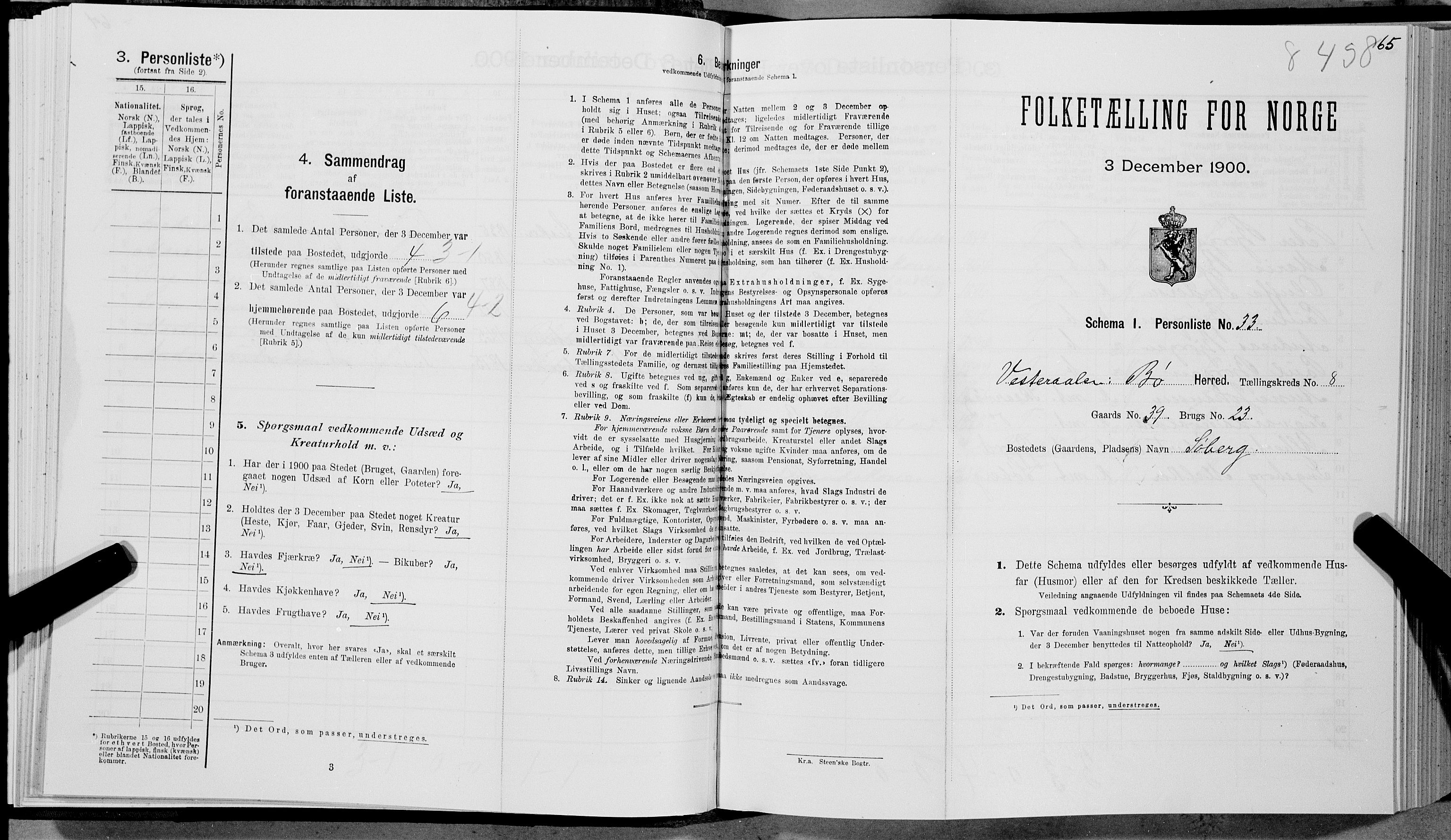 SAT, Folketelling 1900 for 1867 Bø herred, 1900, s. 967