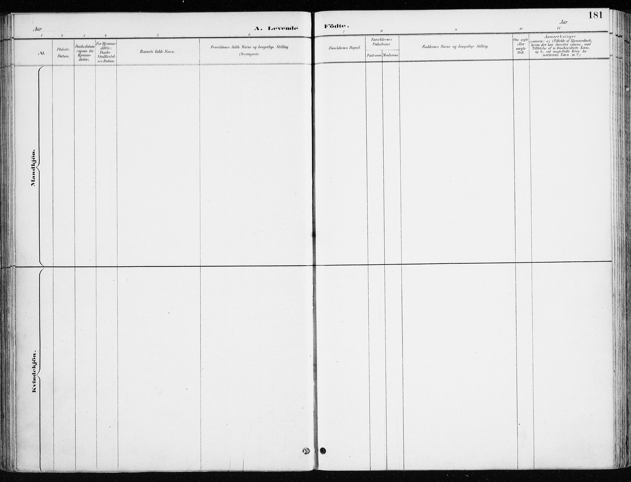 Løten prestekontor, AV/SAH-PREST-022/K/Ka/L0010: Ministerialbok nr. 10, 1892-1907, s. 181