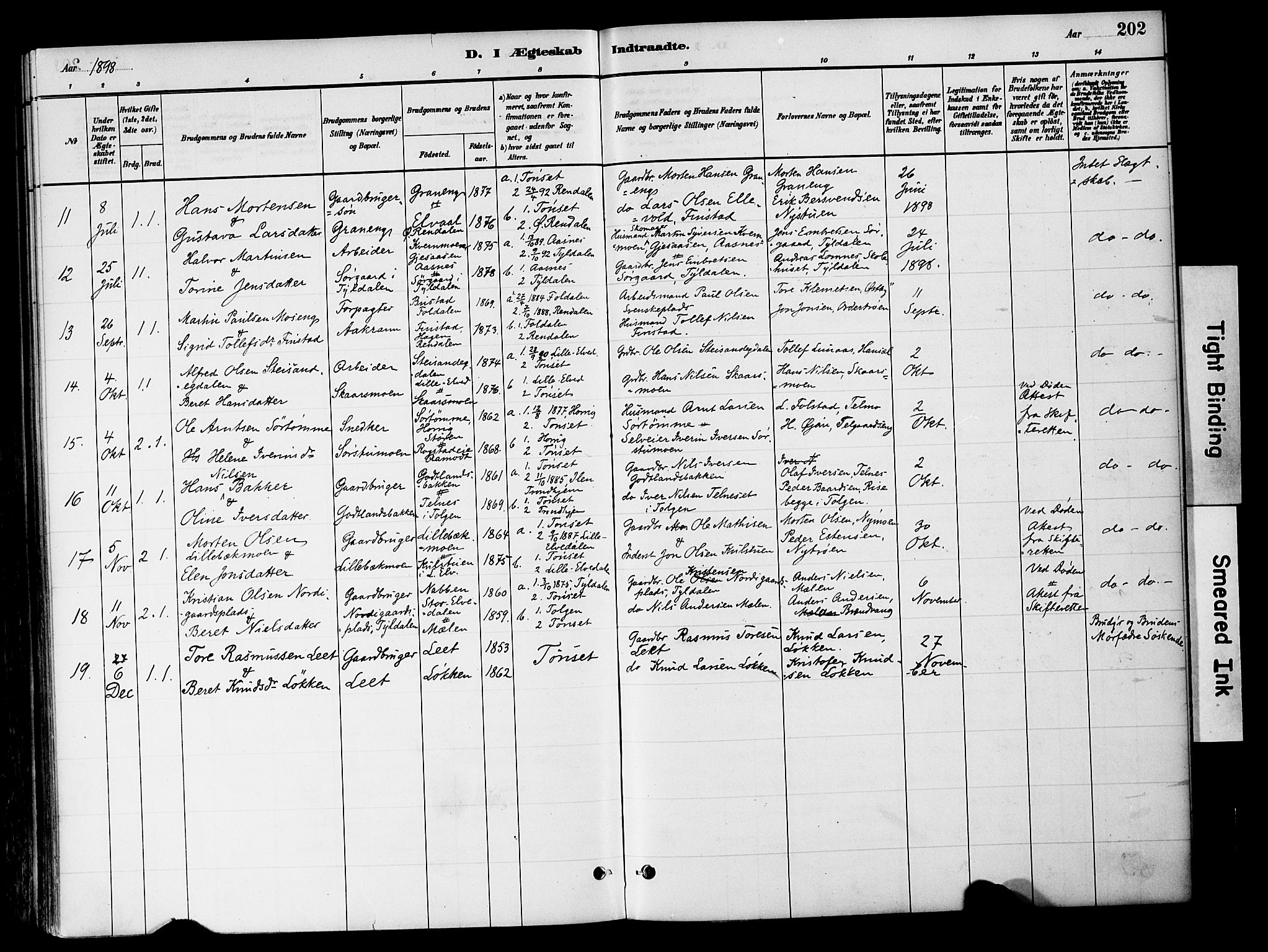 Tynset prestekontor, AV/SAH-PREST-058/H/Ha/Haa/L0022: Ministerialbok nr. 22, 1880-1899, s. 202