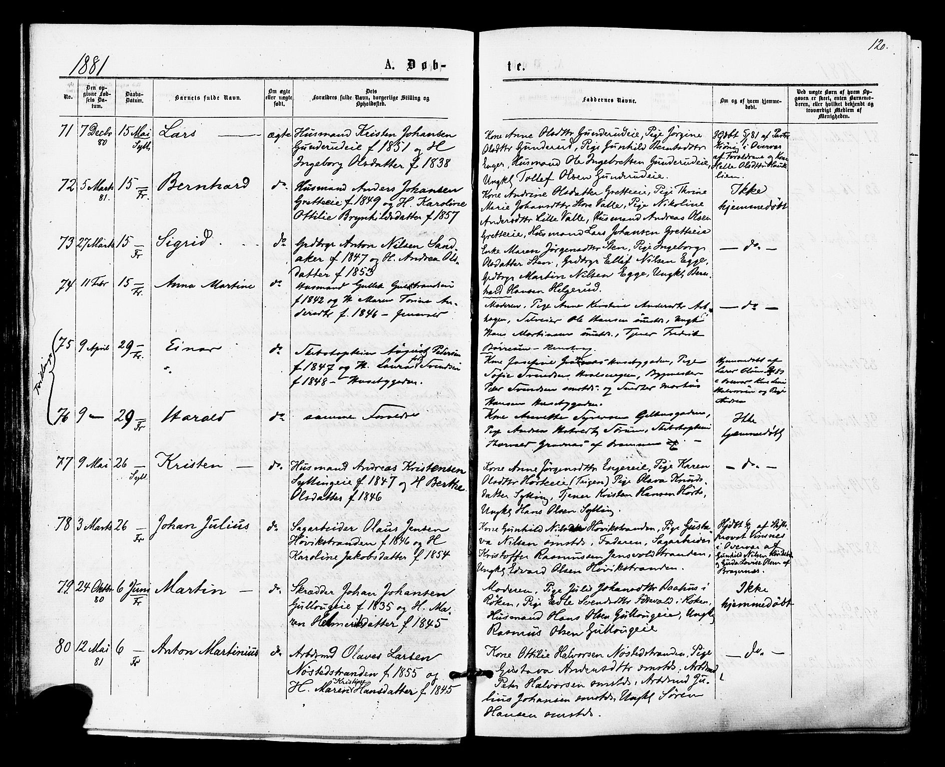 Lier kirkebøker, AV/SAKO-A-230/F/Fa/L0014: Ministerialbok nr. I 14, 1875-1882, s. 120