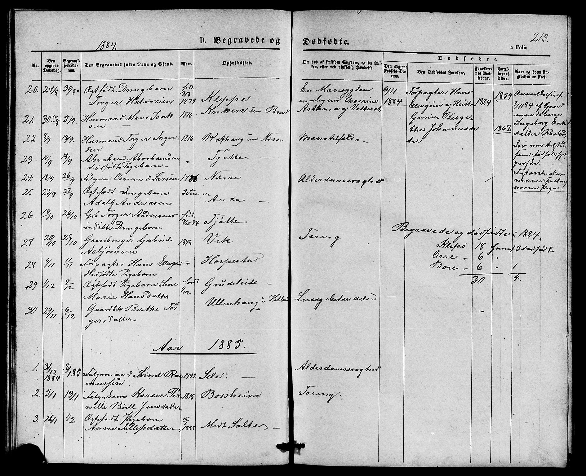 Klepp sokneprestkontor, SAST/A-101803/001/3/30BB/L0003: Klokkerbok nr. B 3, 1876-1888, s. 213