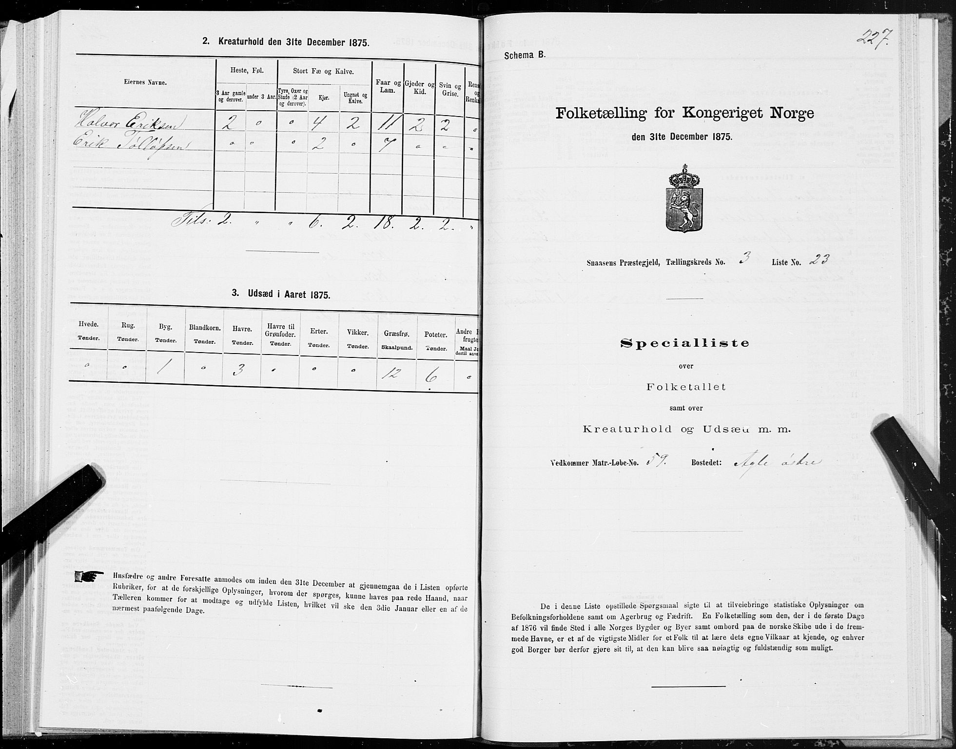 SAT, Folketelling 1875 for 1736P Snåsa prestegjeld, 1875, s. 1227