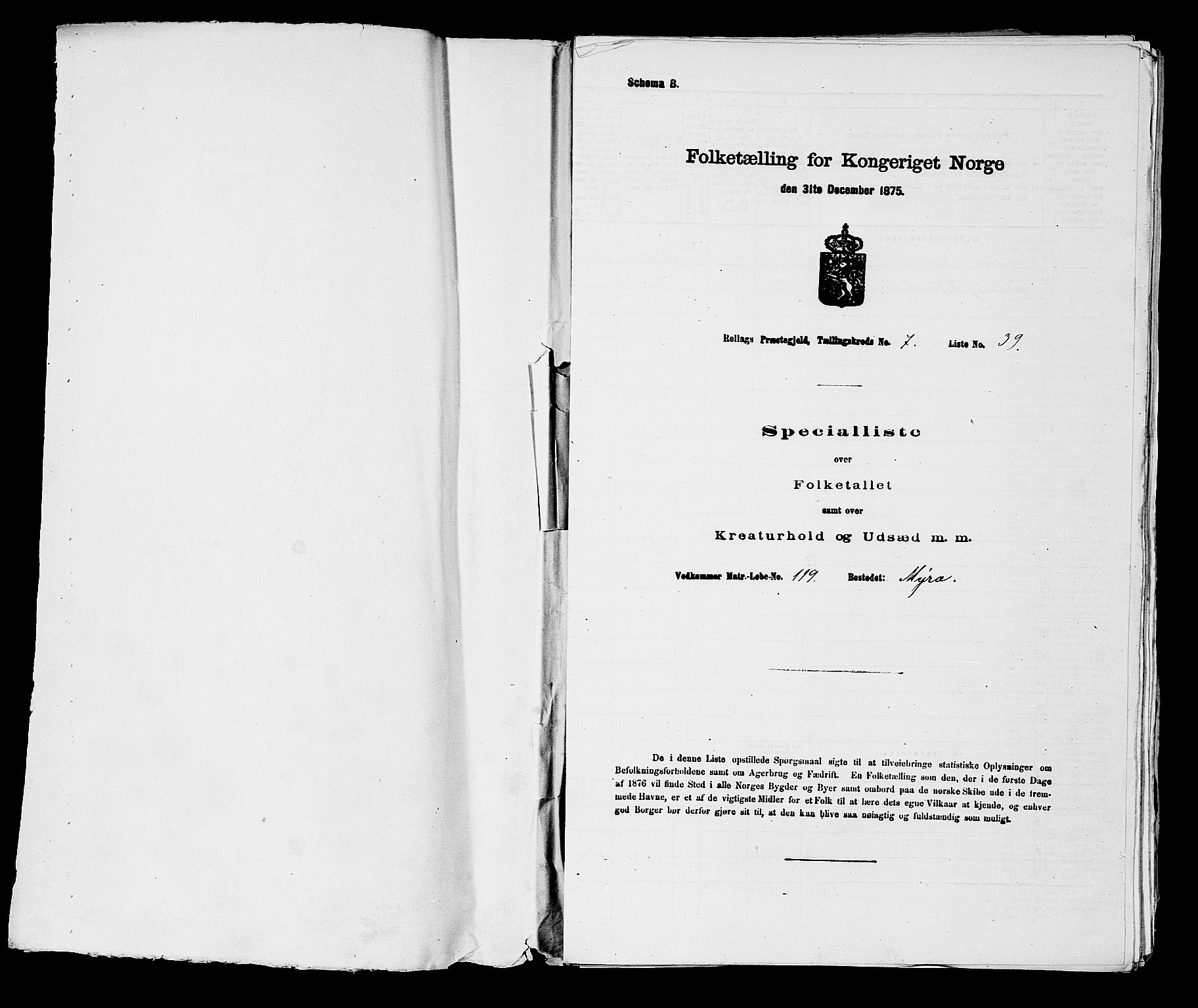 SAKO, Folketelling 1875 for 0632P Rollag prestegjeld, 1875, s. 433