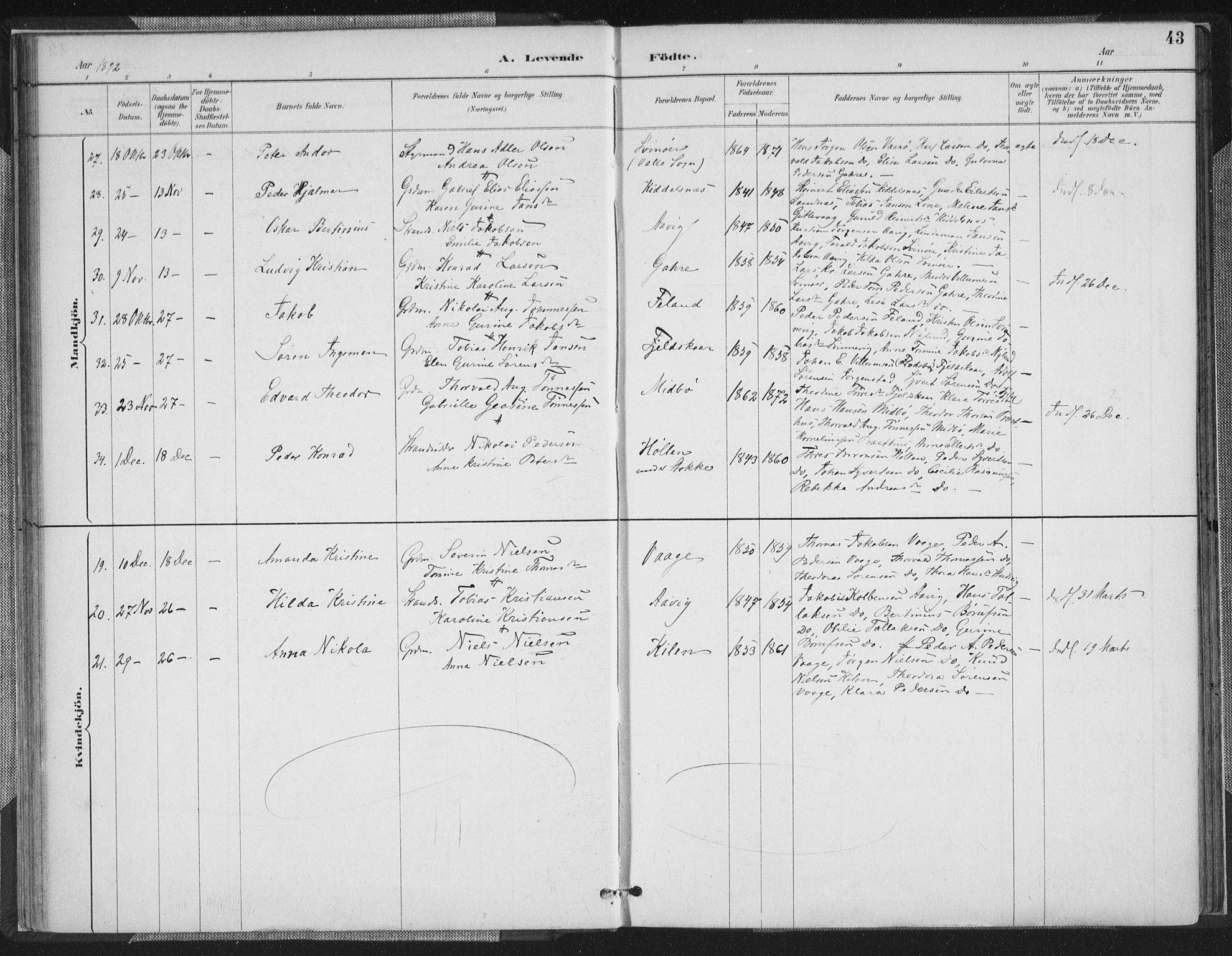 Sør-Audnedal sokneprestkontor, AV/SAK-1111-0039/F/Fa/Faa/L0004: Ministerialbok nr. A 4, 1884-1909, s. 43
