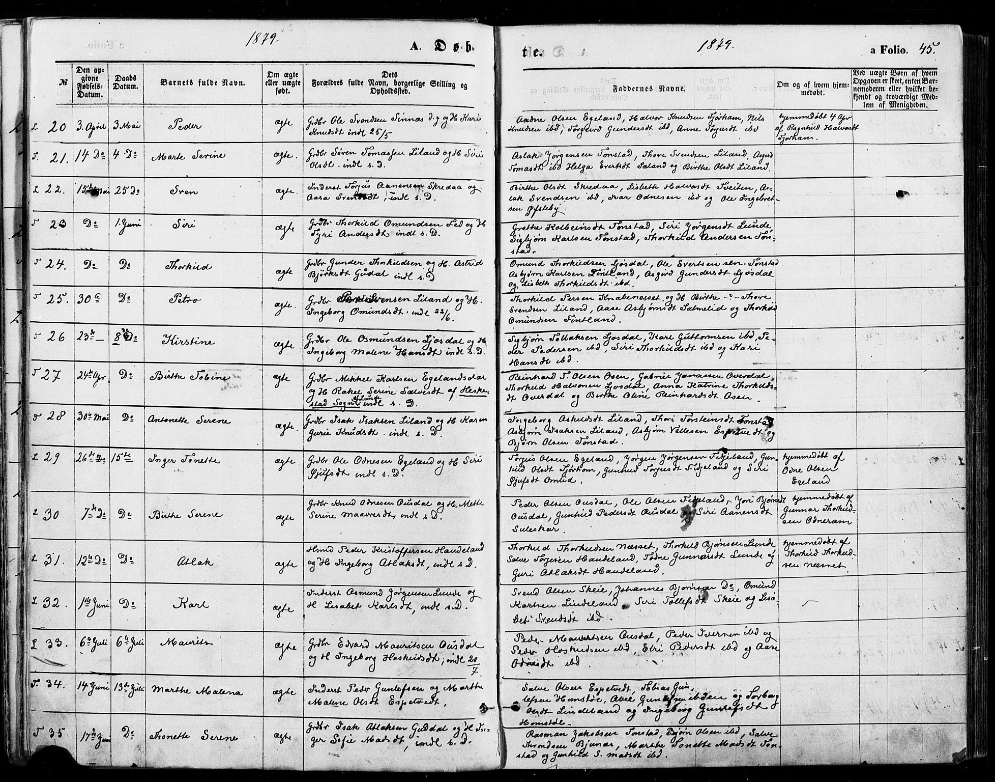 Sirdal sokneprestkontor, AV/SAK-1111-0036/F/Fa/Fab/L0003: Ministerialbok nr. A 3, 1874-1886, s. 45