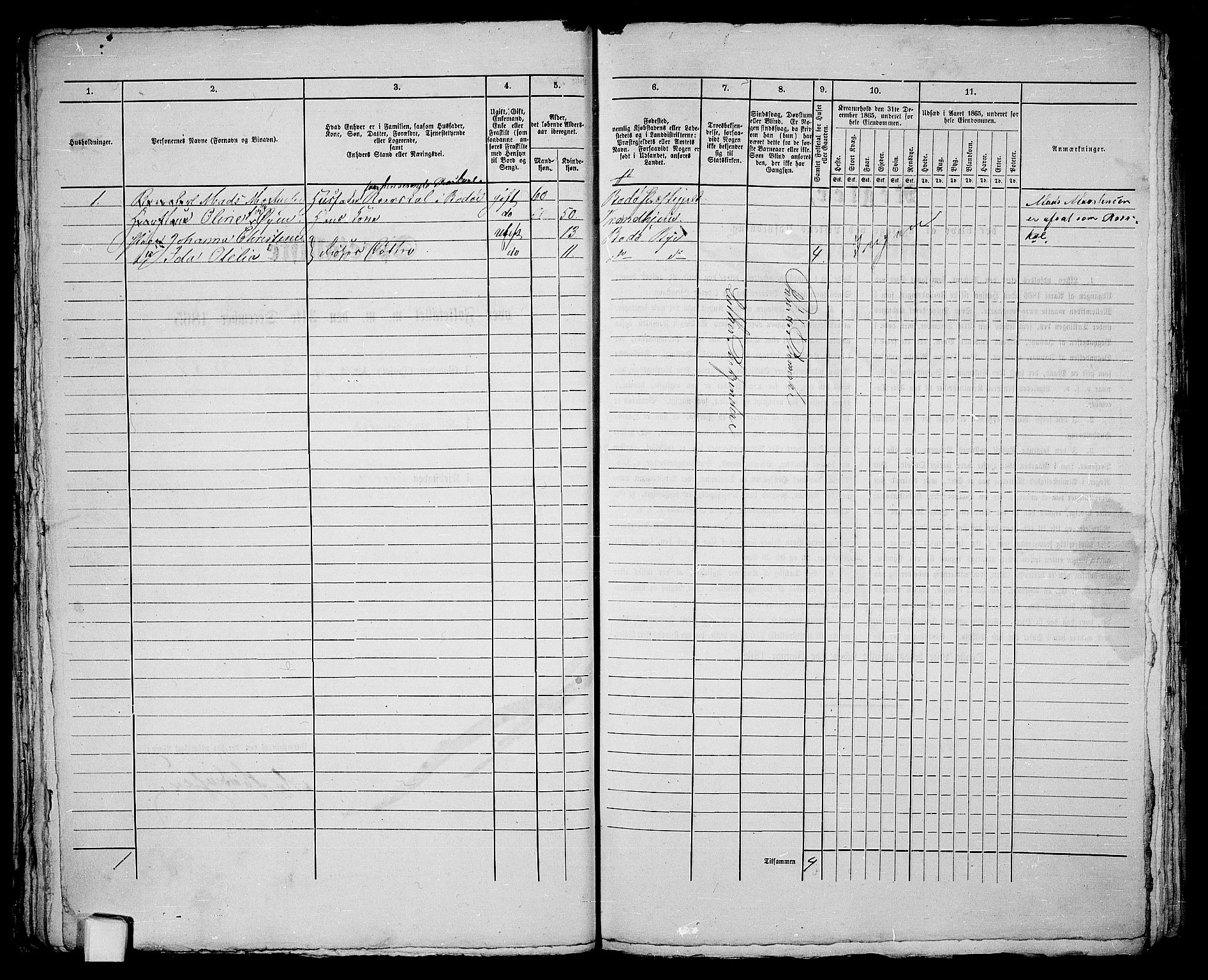 RA, Folketelling 1865 for 1804B Bodø prestegjeld, Bodø kjøpstad, 1865, s. 45