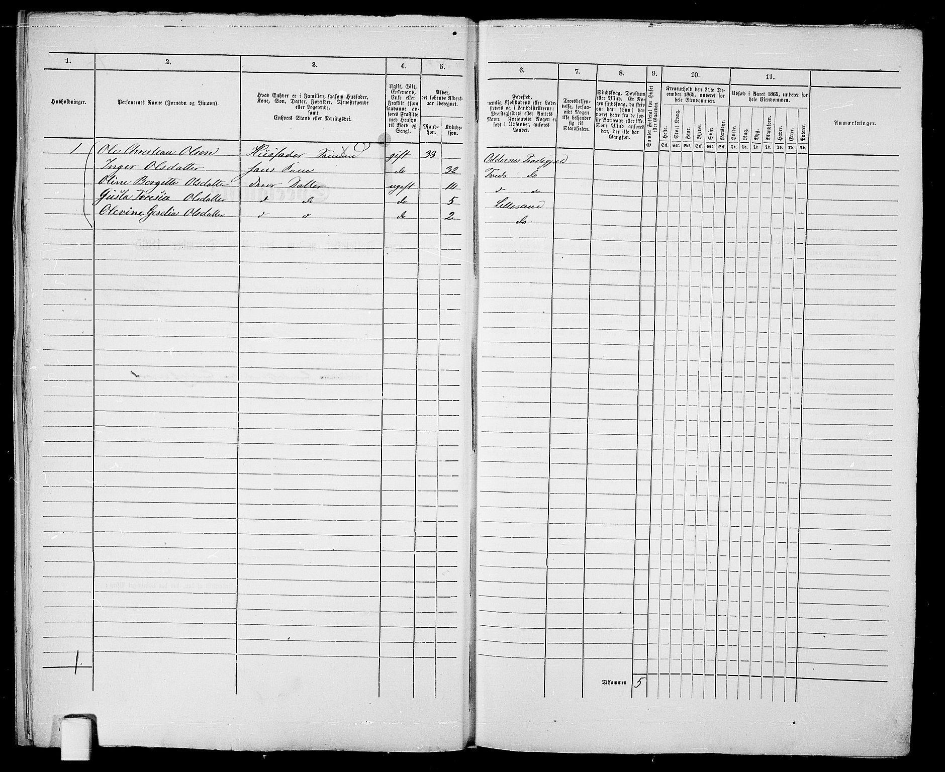 RA, Folketelling 1865 for 0905B Vestre Moland prestegjeld, Lillesand ladested, 1865, s. 15