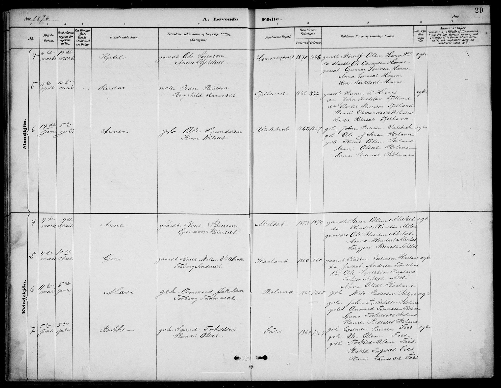 Bjelland sokneprestkontor, AV/SAK-1111-0005/F/Fb/Fba/L0005: Klokkerbok nr. B 5, 1887-1923, s. 29