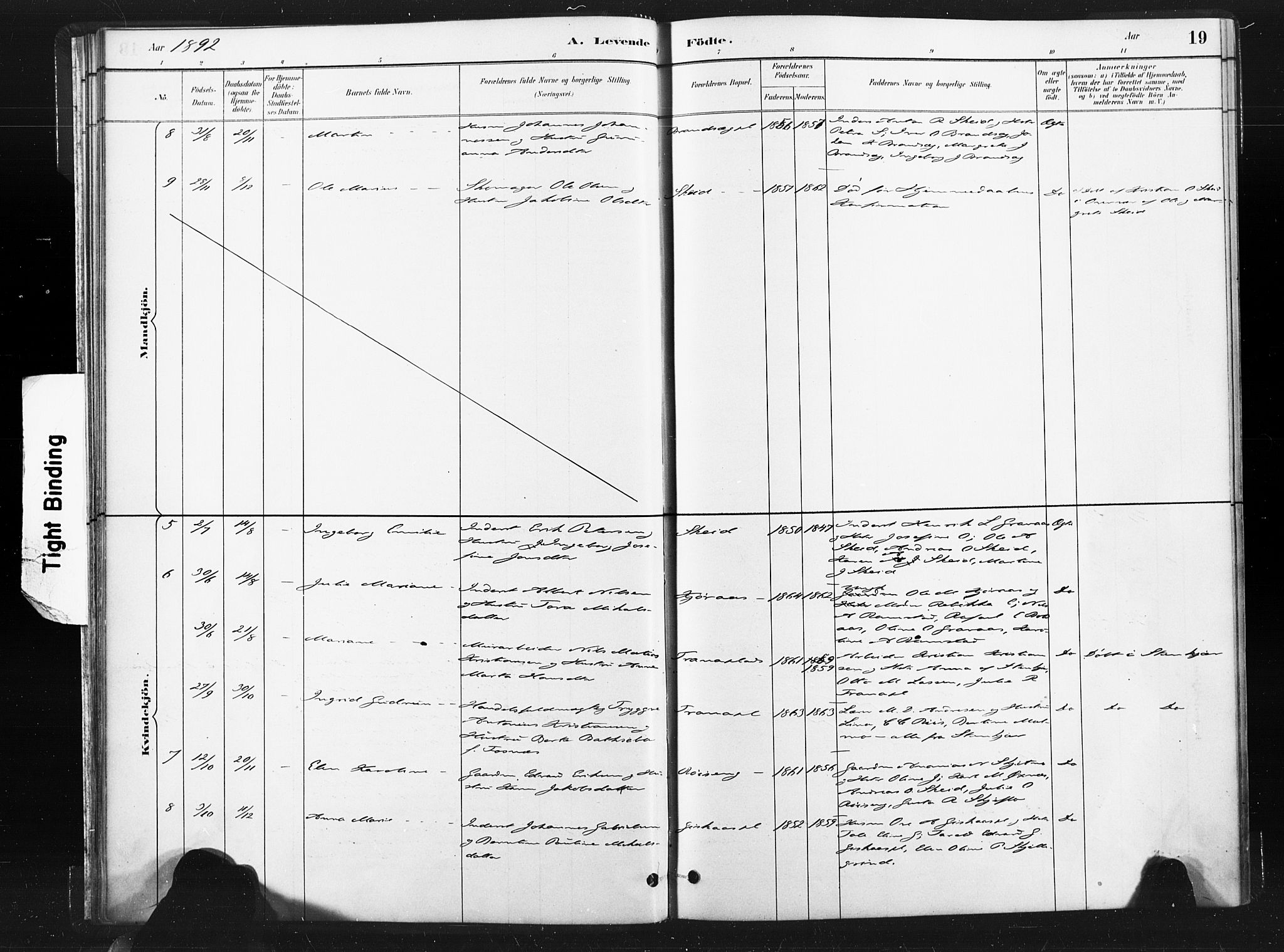 Ministerialprotokoller, klokkerbøker og fødselsregistre - Nord-Trøndelag, SAT/A-1458/736/L0361: Ministerialbok nr. 736A01, 1884-1906, s. 19