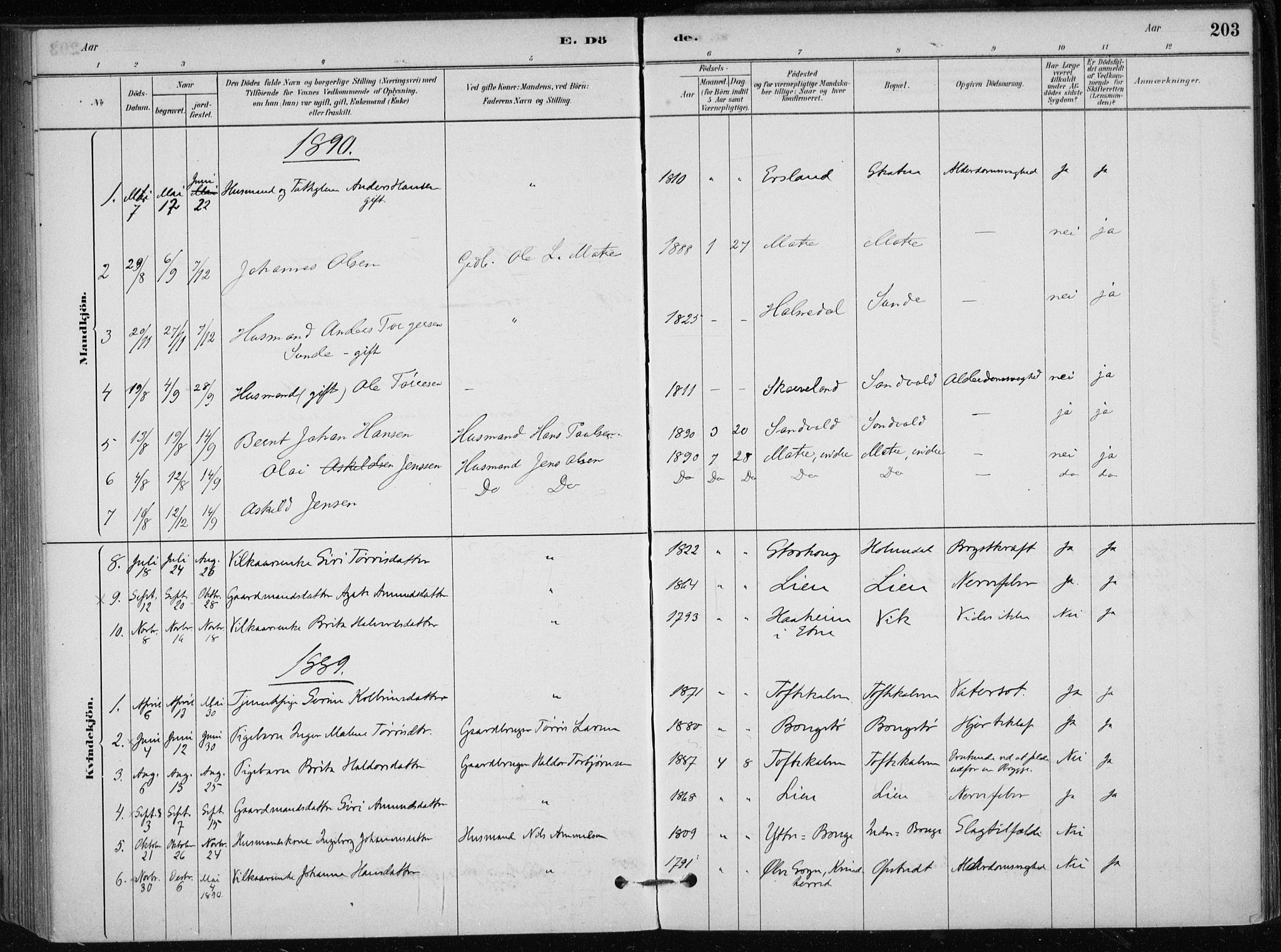 Skånevik sokneprestembete, AV/SAB-A-77801/H/Haa: Ministerialbok nr. C  1, 1879-1917, s. 203