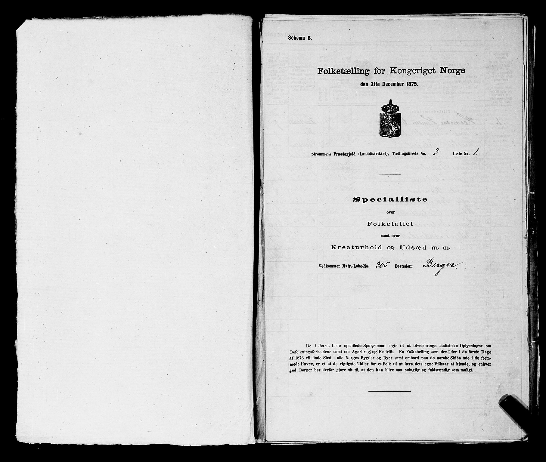 SAKO, Folketelling 1875 for 0711L Strømm prestegjeld, Strømm sokn, 1875, s. 382