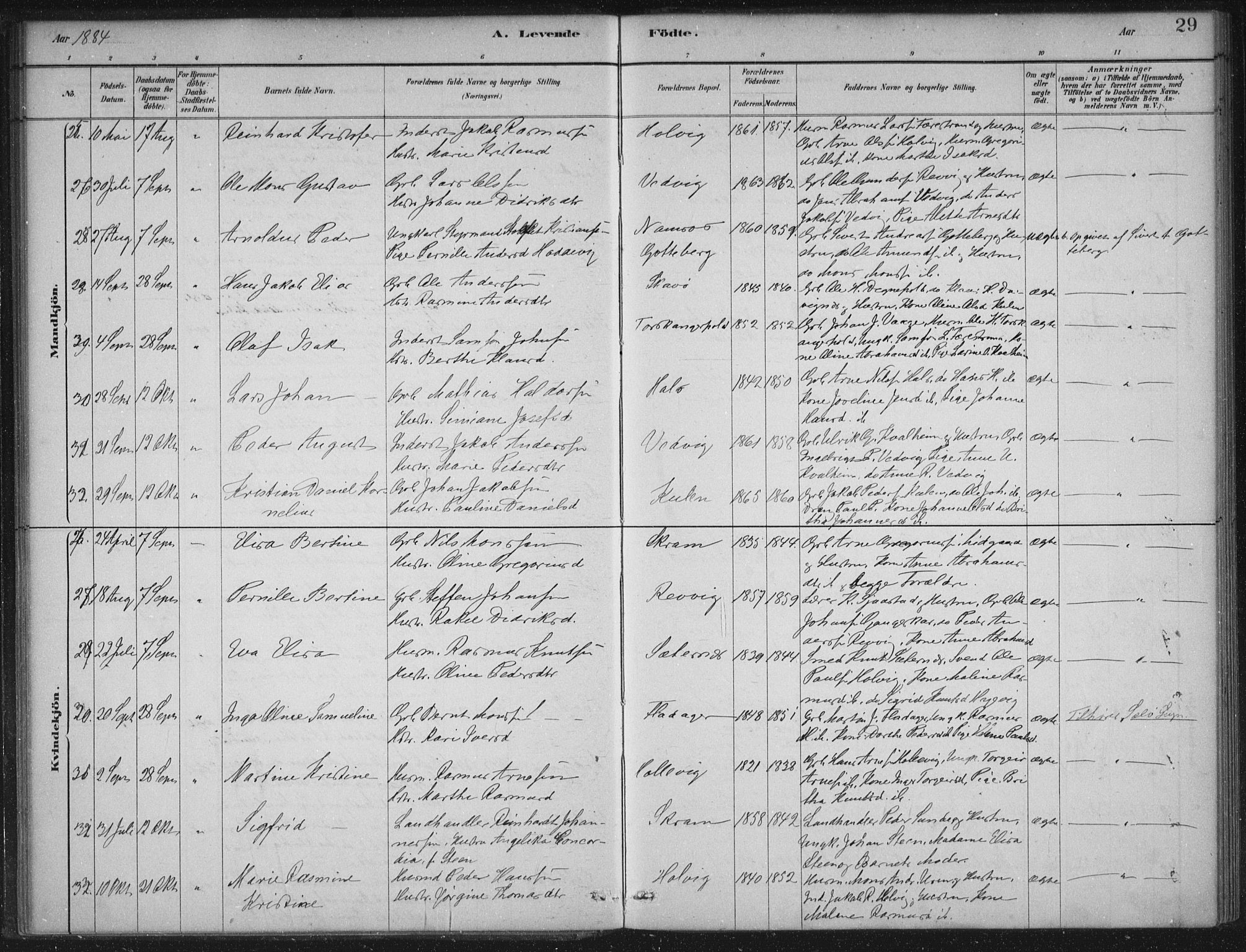 Selje sokneprestembete, AV/SAB-A-99938/H/Ha/Haa/Haac/L0001: Ministerialbok nr. C  1, 1881-1888, s. 29