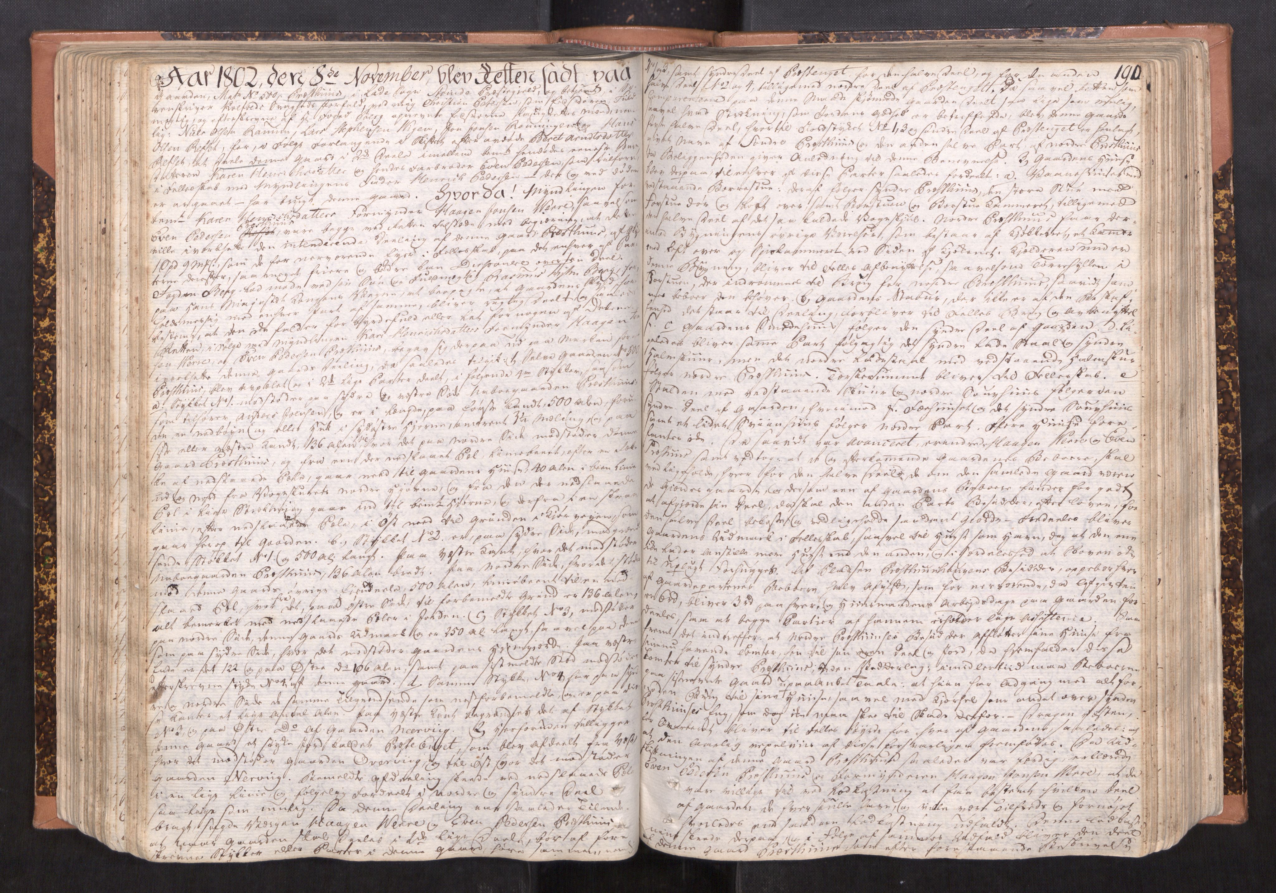 Strinda og Selbu sorenskriveri, AV/SAT-A-0015/1/1A/L0017: Tingbok 16, 1800-1805, s. 189b-190a