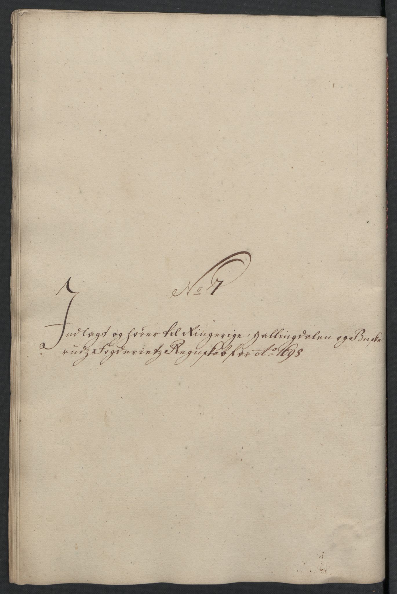 Rentekammeret inntil 1814, Reviderte regnskaper, Fogderegnskap, RA/EA-4092/R22/L1455: Fogderegnskap Ringerike, Hallingdal og Buskerud, 1698, s. 296