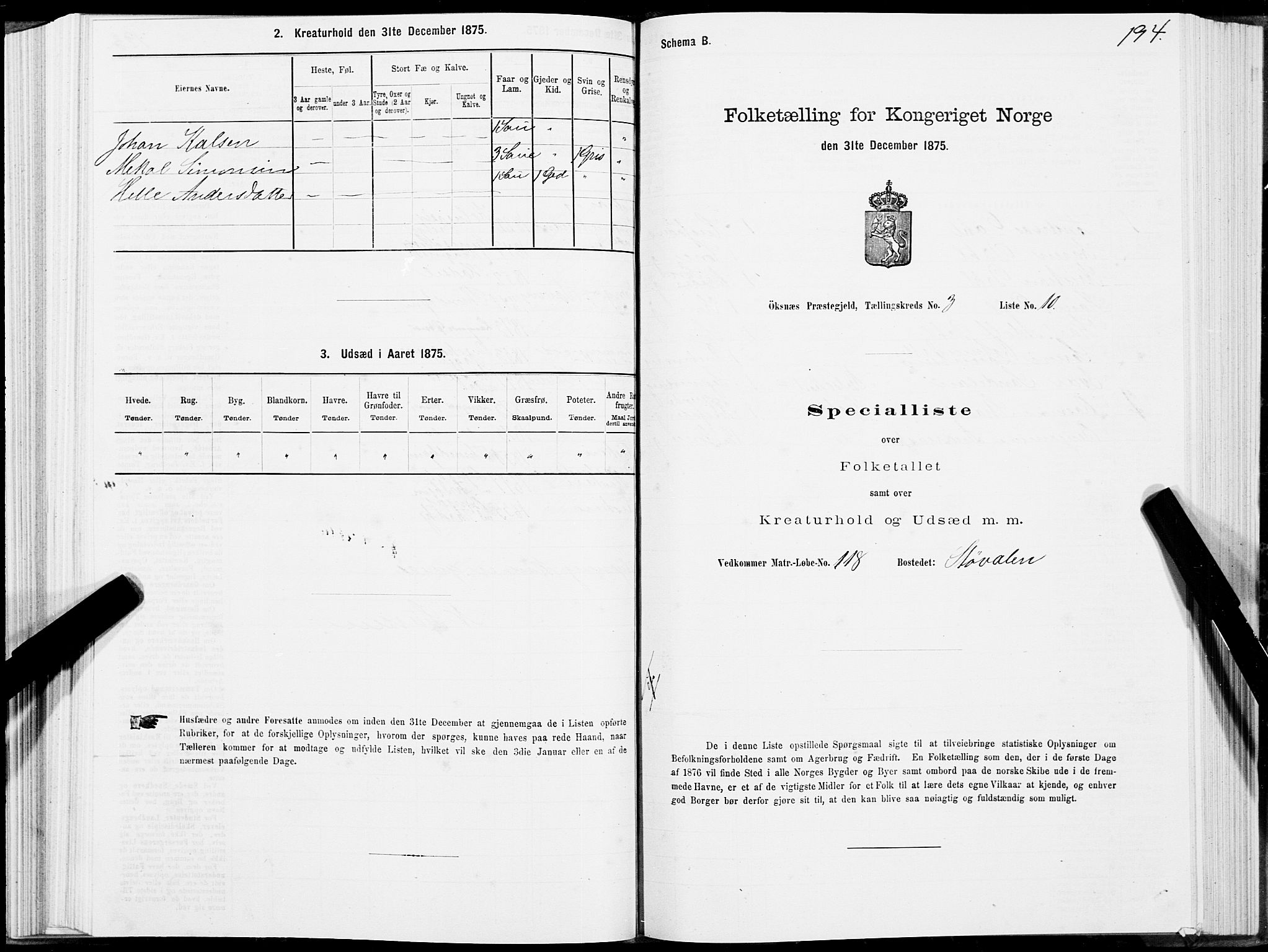 SAT, Folketelling 1875 for 1868P Øksnes prestegjeld, 1875, s. 2194