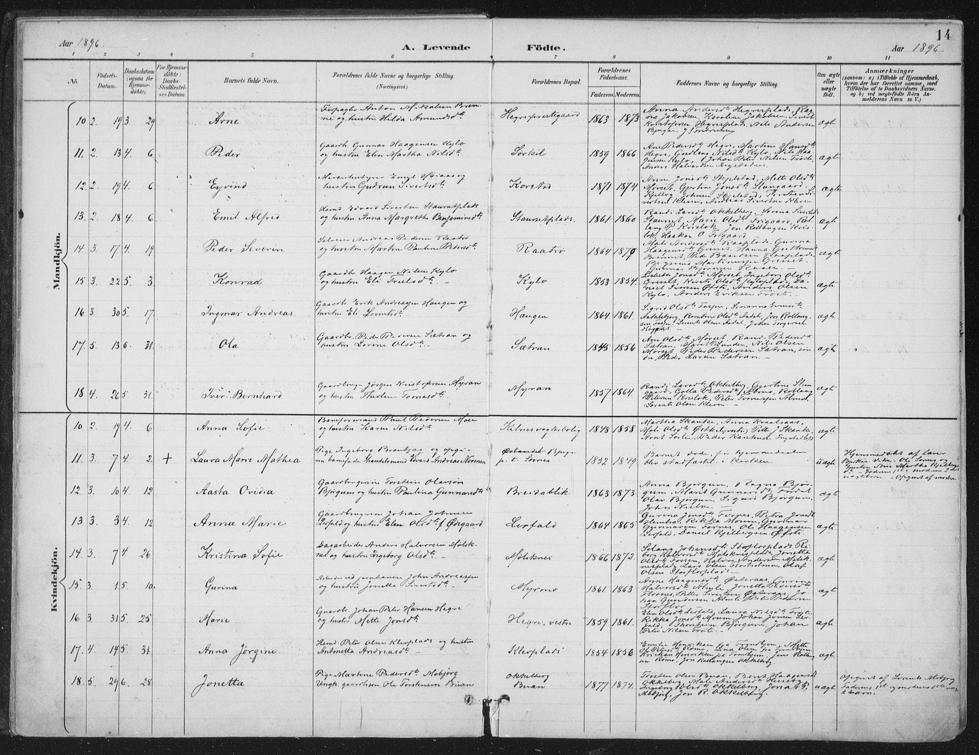 Ministerialprotokoller, klokkerbøker og fødselsregistre - Nord-Trøndelag, AV/SAT-A-1458/703/L0031: Ministerialbok nr. 703A04, 1893-1914, s. 14