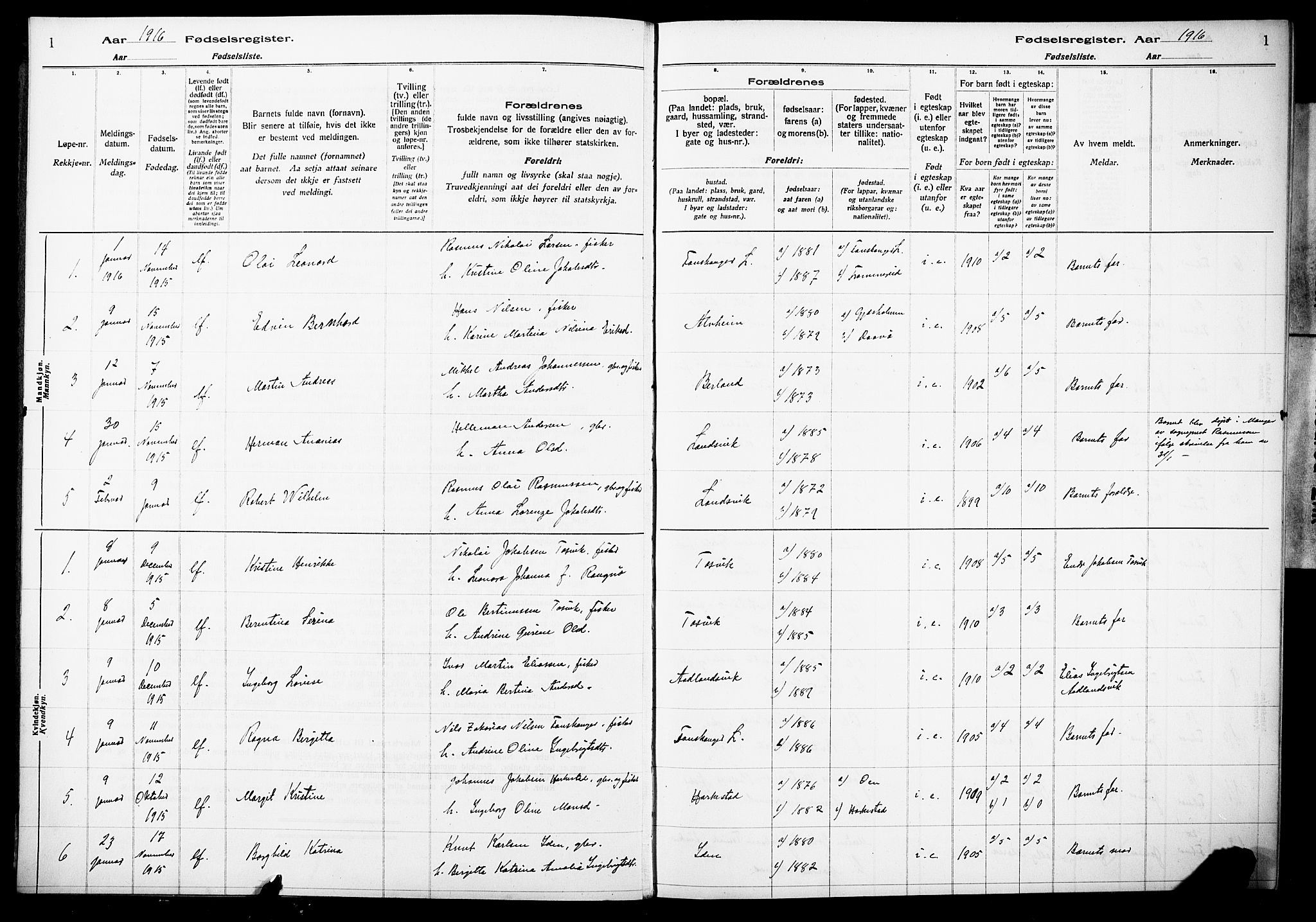 Herdla Sokneprestembete, SAB/A-75701/I/Id/L00A1: Fødselsregister nr. A 1, 1916-1929, s. 1