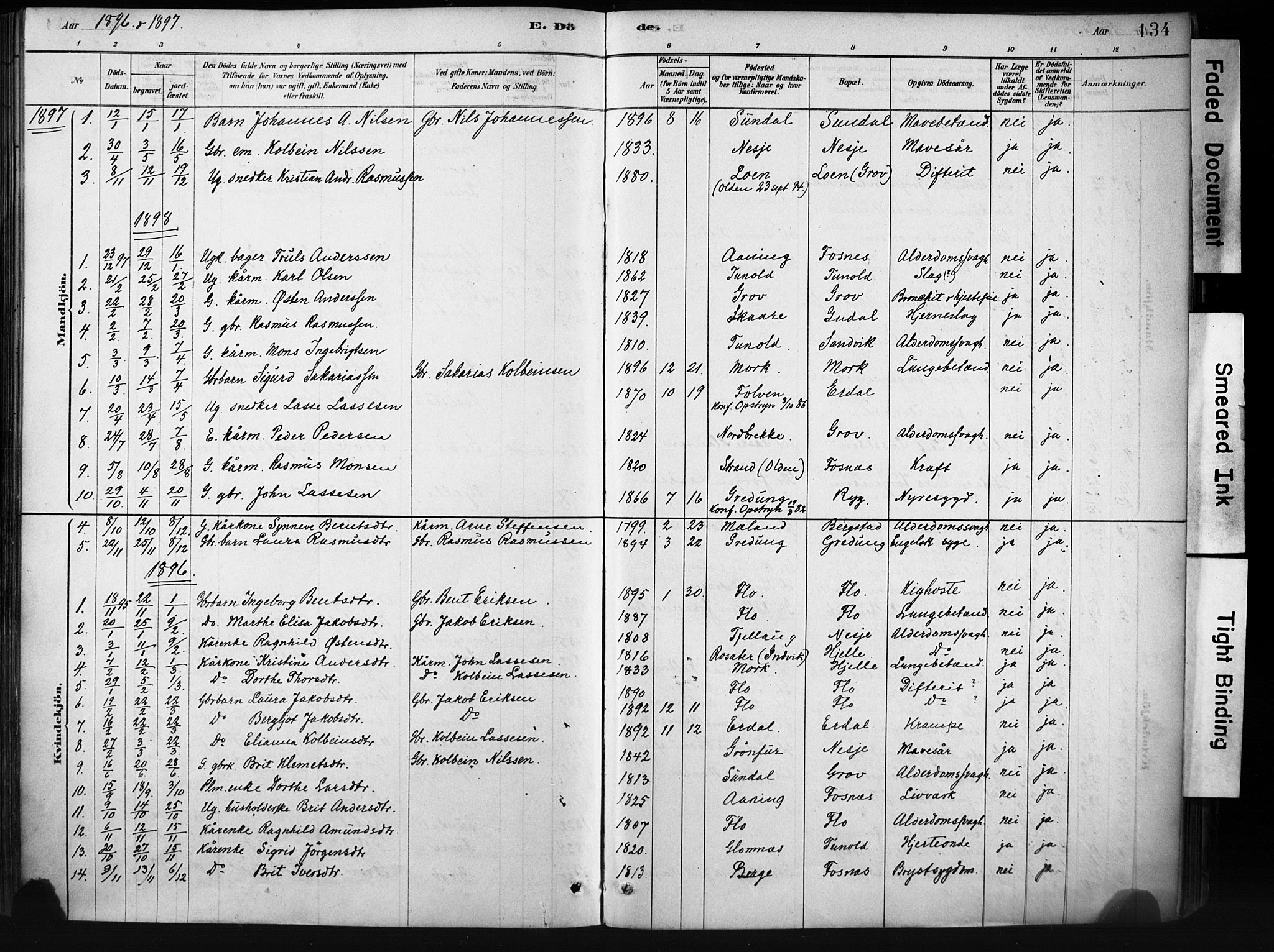 Stryn Sokneprestembete, SAB/A-82501: Ministerialbok nr. D 1, 1878-1907, s. 134