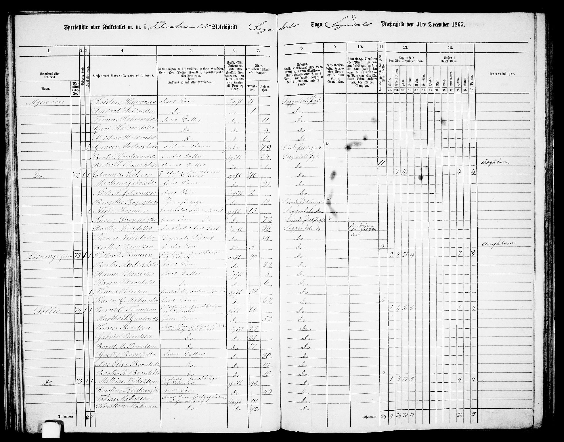 RA, Folketelling 1865 for 1111P Sokndal prestegjeld, 1865, s. 63