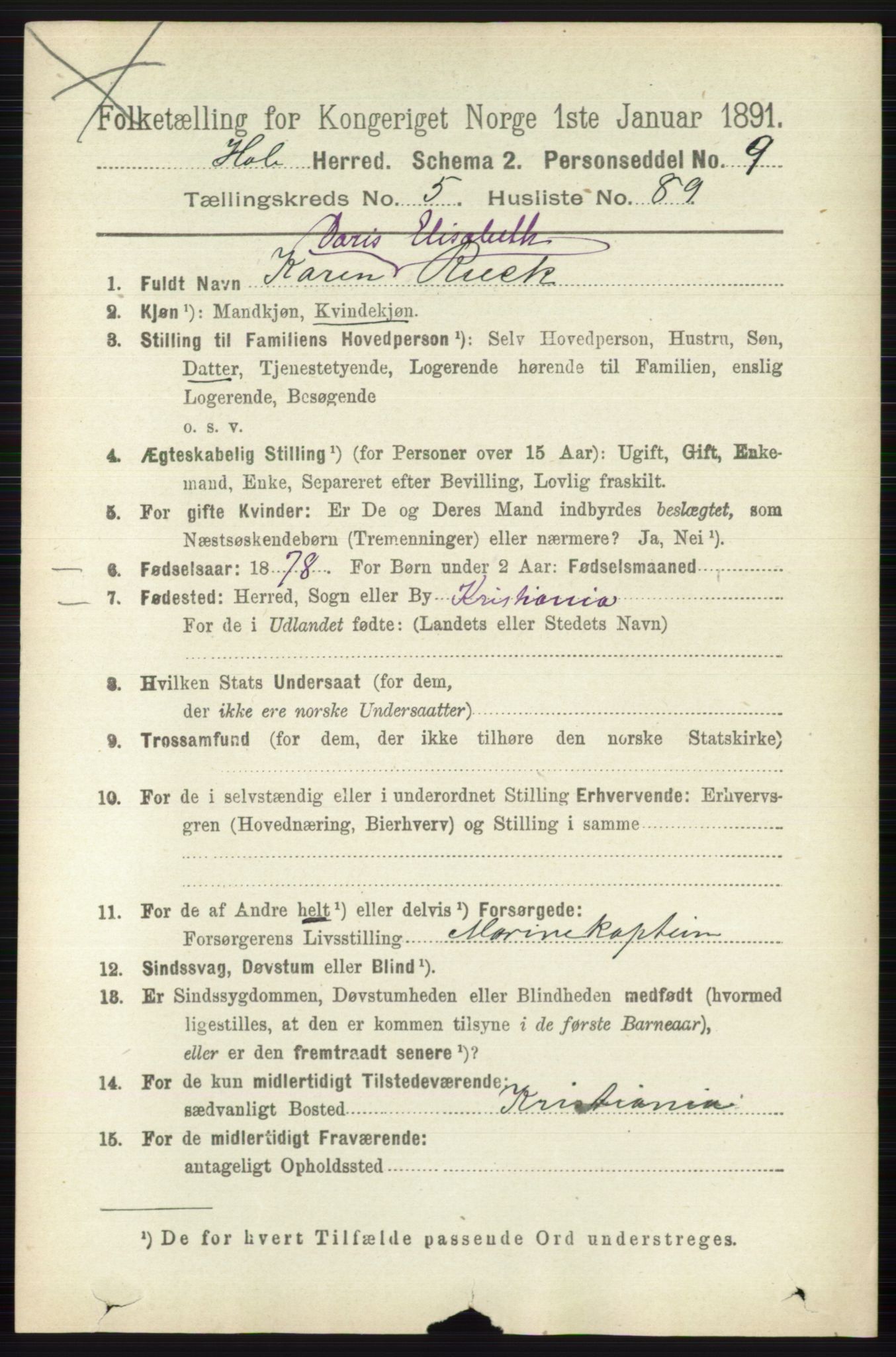 RA, Folketelling 1891 for 0612 Hole herred, 1891, s. 2963