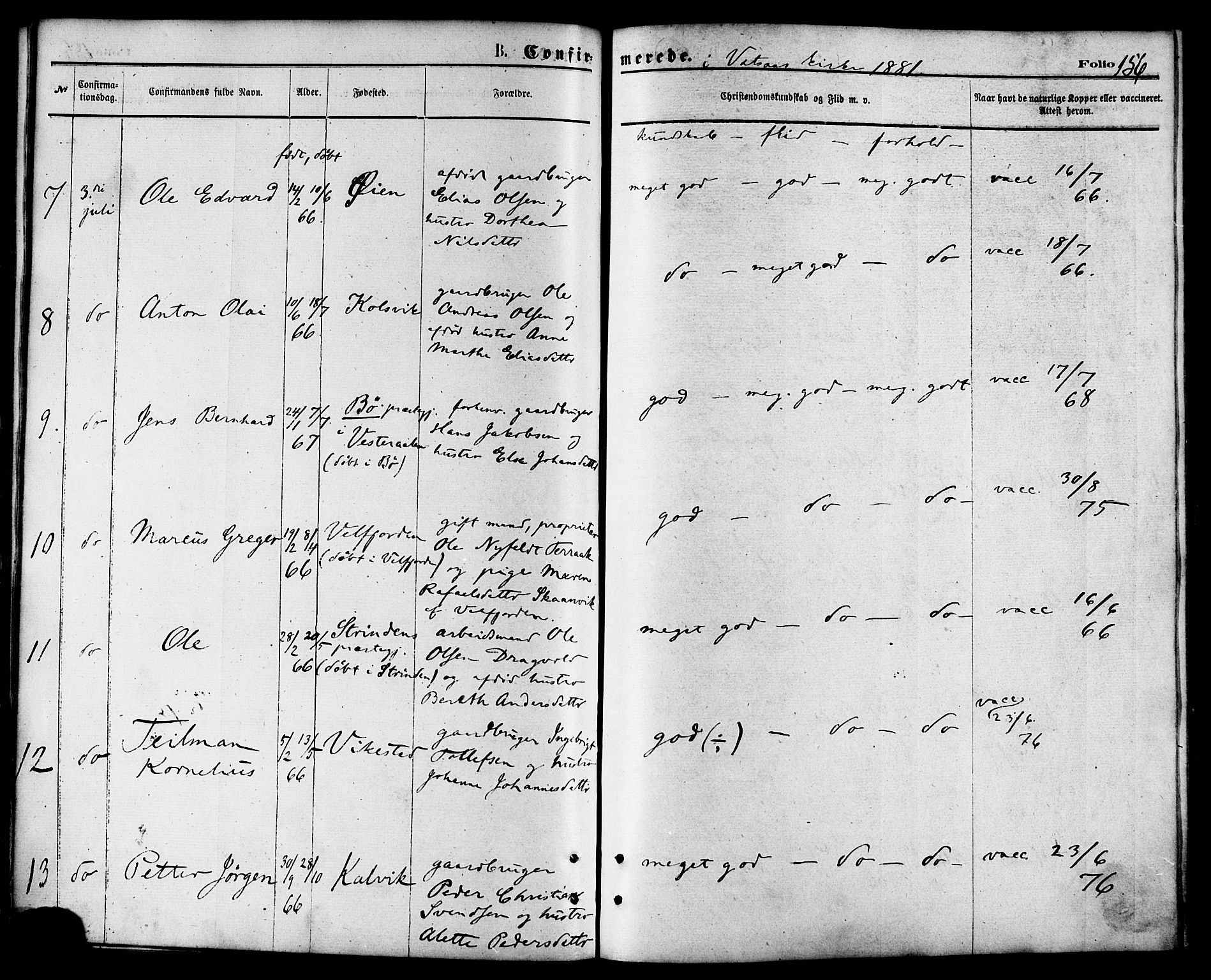 Ministerialprotokoller, klokkerbøker og fødselsregistre - Nordland, AV/SAT-A-1459/810/L0148: Ministerialbok nr. 810A09 /1, 1874-1884, s. 156