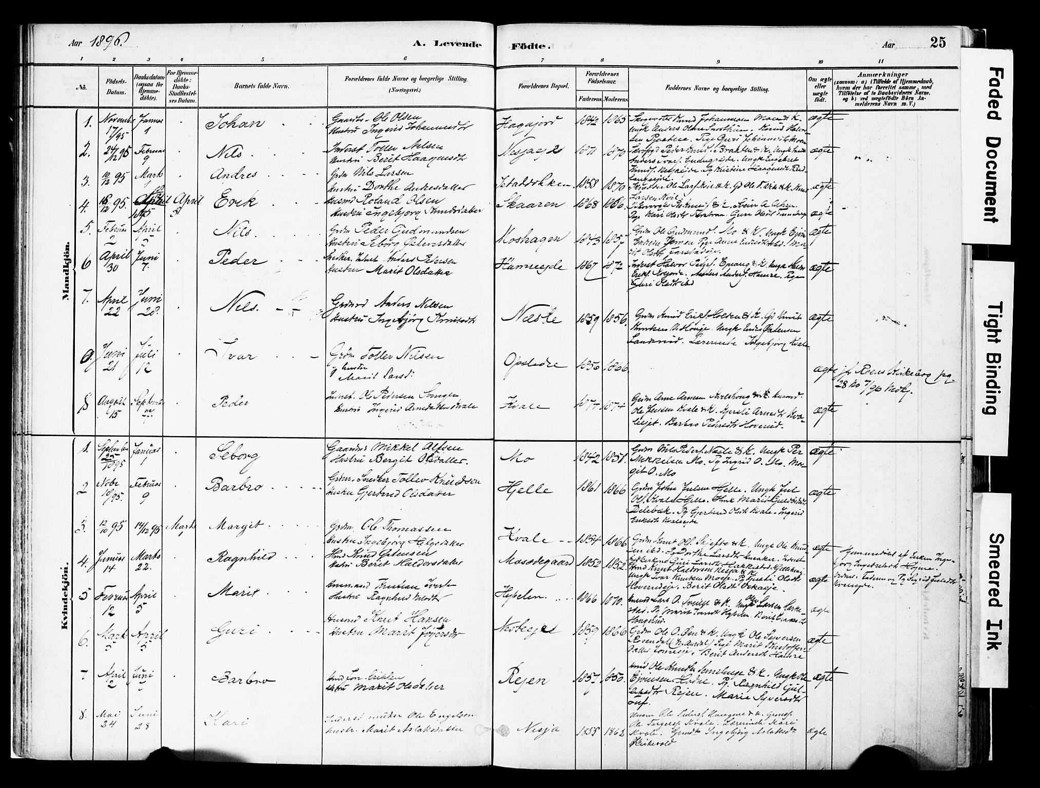 Vestre Slidre prestekontor, AV/SAH-PREST-136/H/Ha/Haa/L0004: Ministerialbok nr. 4, 1881-1911, s. 25
