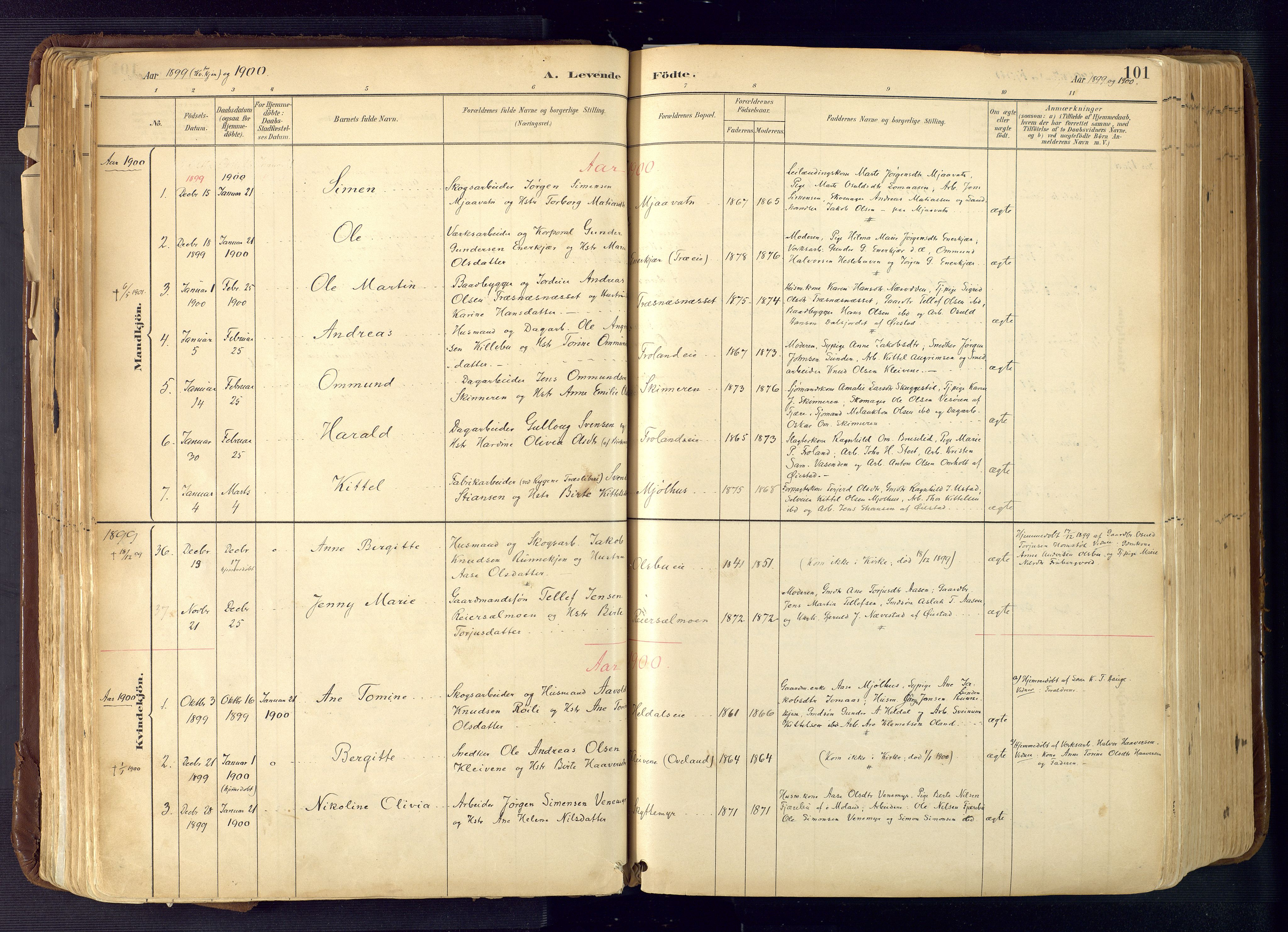 Froland sokneprestkontor, AV/SAK-1111-0013/F/Fa/L0005: Ministerialbok nr. A 5, 1882-1921, s. 101