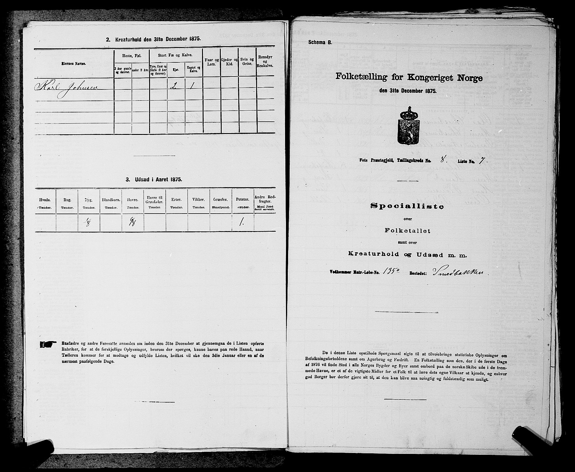 RA, Folketelling 1875 for 0227P Fet prestegjeld, 1875, s. 1167
