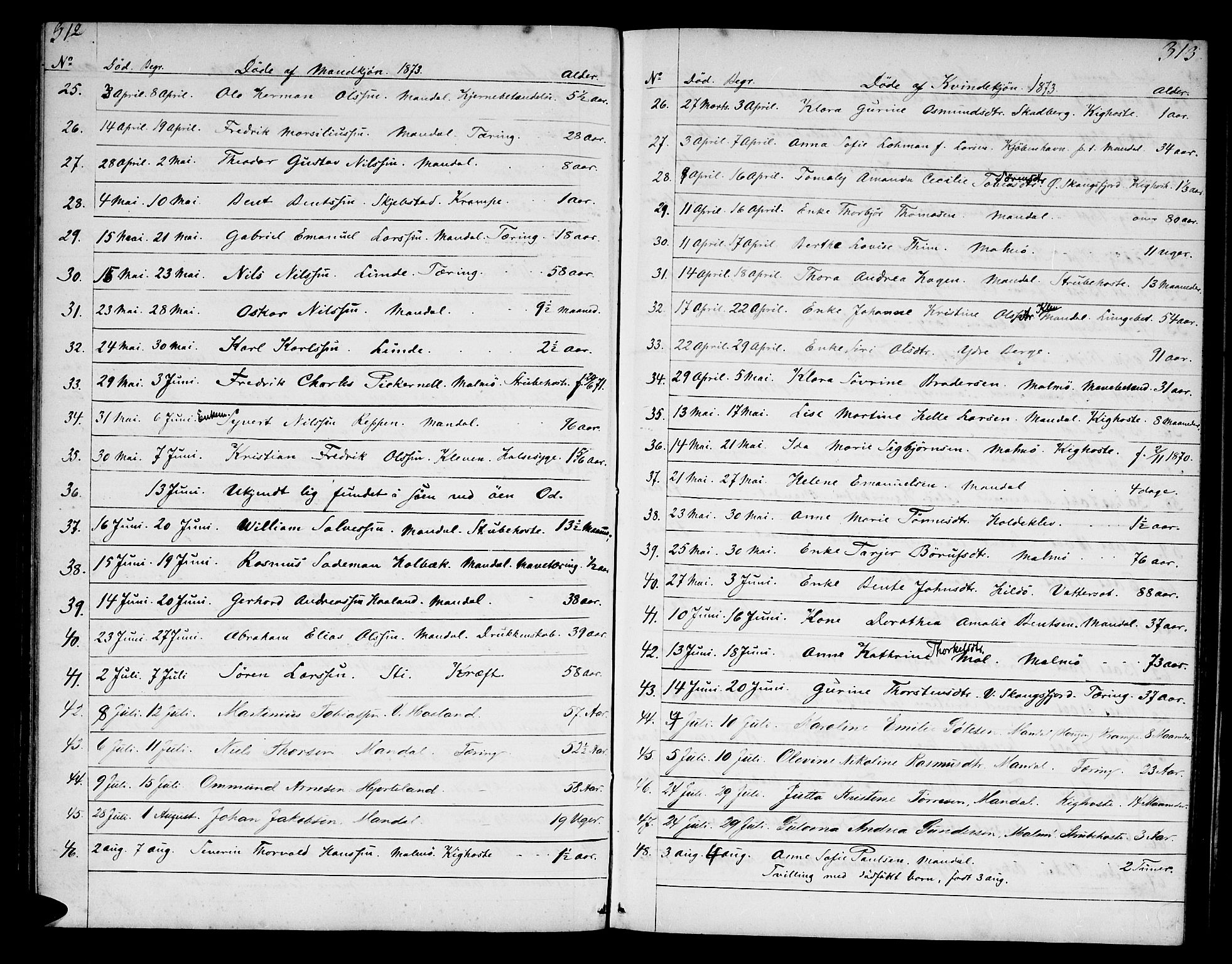 Mandal sokneprestkontor, AV/SAK-1111-0030/F/Fb/Fba/L0009: Klokkerbok nr. B 3, 1867-1877, s. 312-313