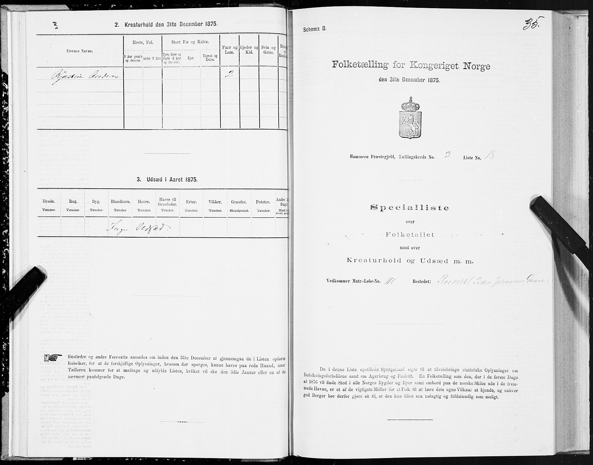 SAT, Folketelling 1875 for 1849P Hamarøy prestegjeld, 1875, s. 2035