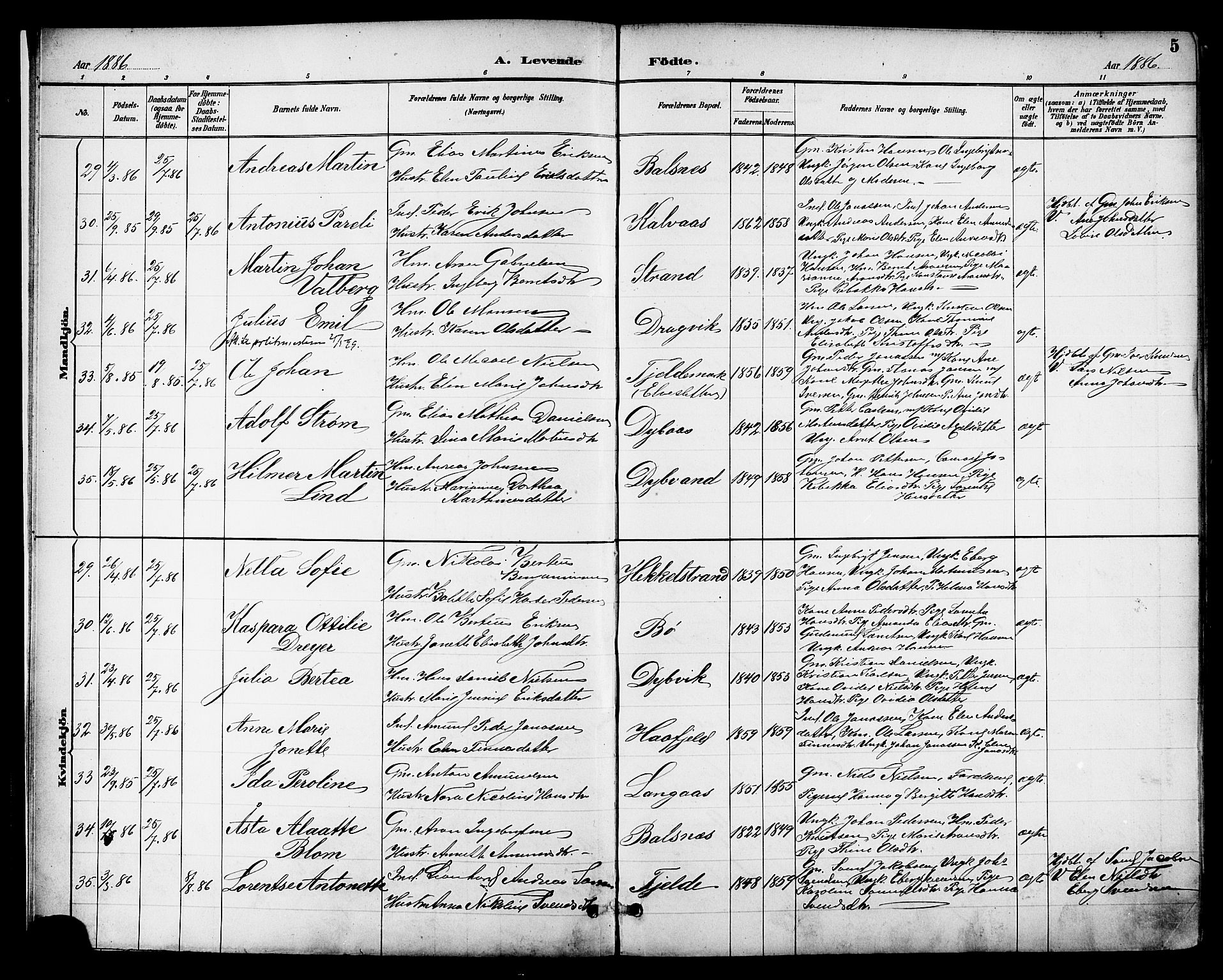 Ministerialprotokoller, klokkerbøker og fødselsregistre - Nordland, AV/SAT-A-1459/863/L0898: Ministerialbok nr. 863A10, 1886-1897, s. 5