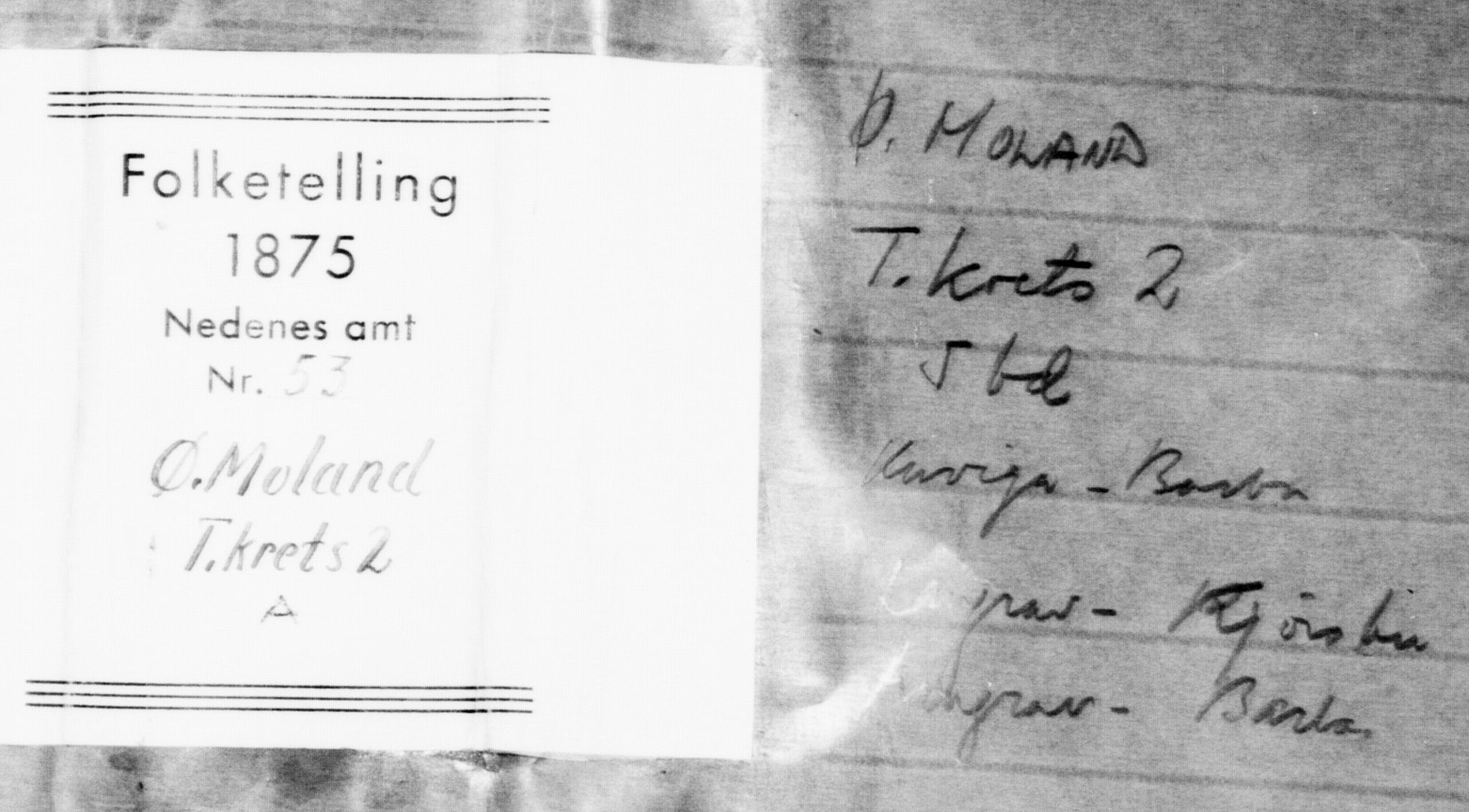 SAK, Folketelling 1875 for 0918P Austre Moland prestegjeld, 1875, s. 458