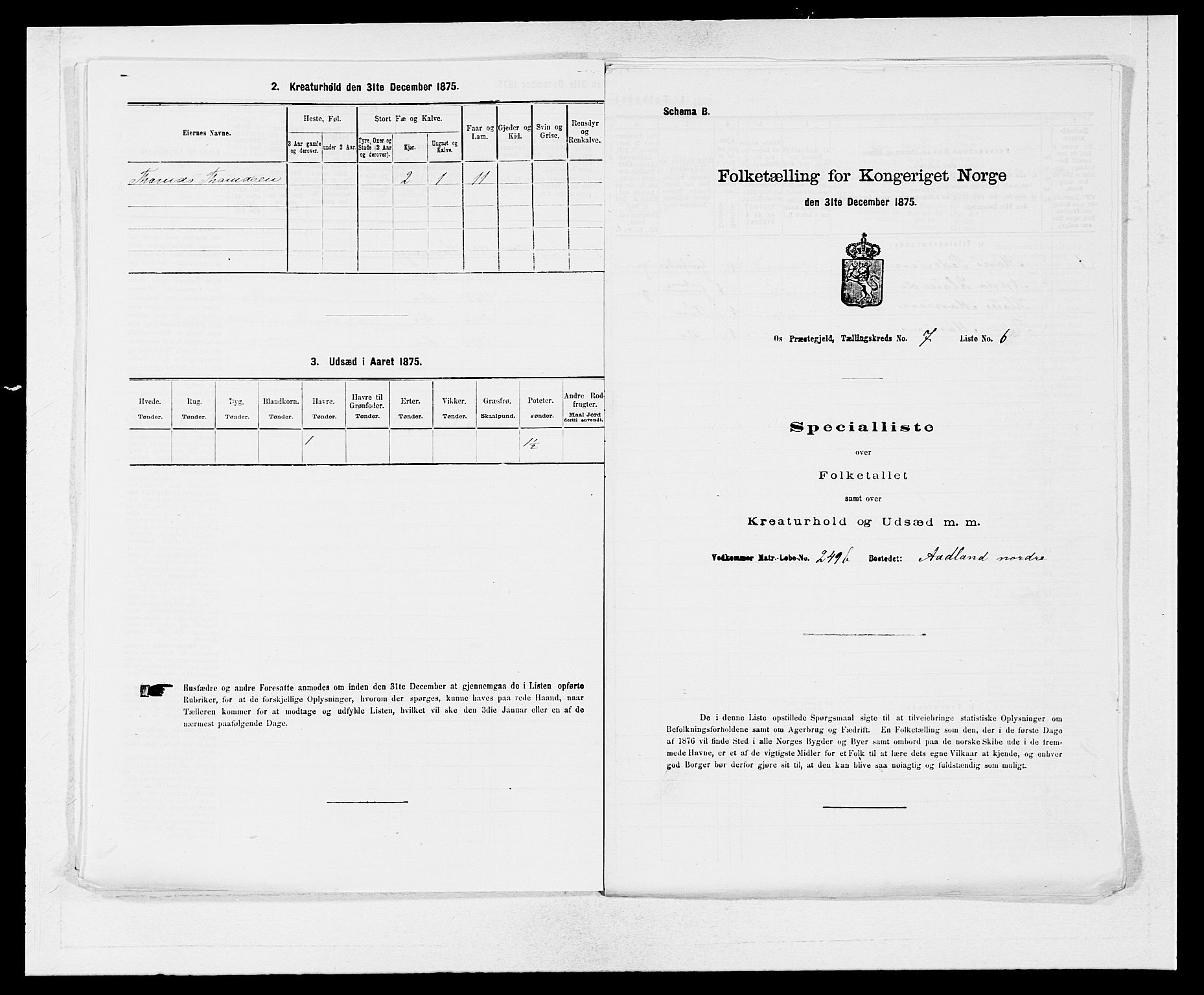 SAB, Folketelling 1875 for 1243P Os prestegjeld, 1875, s. 908