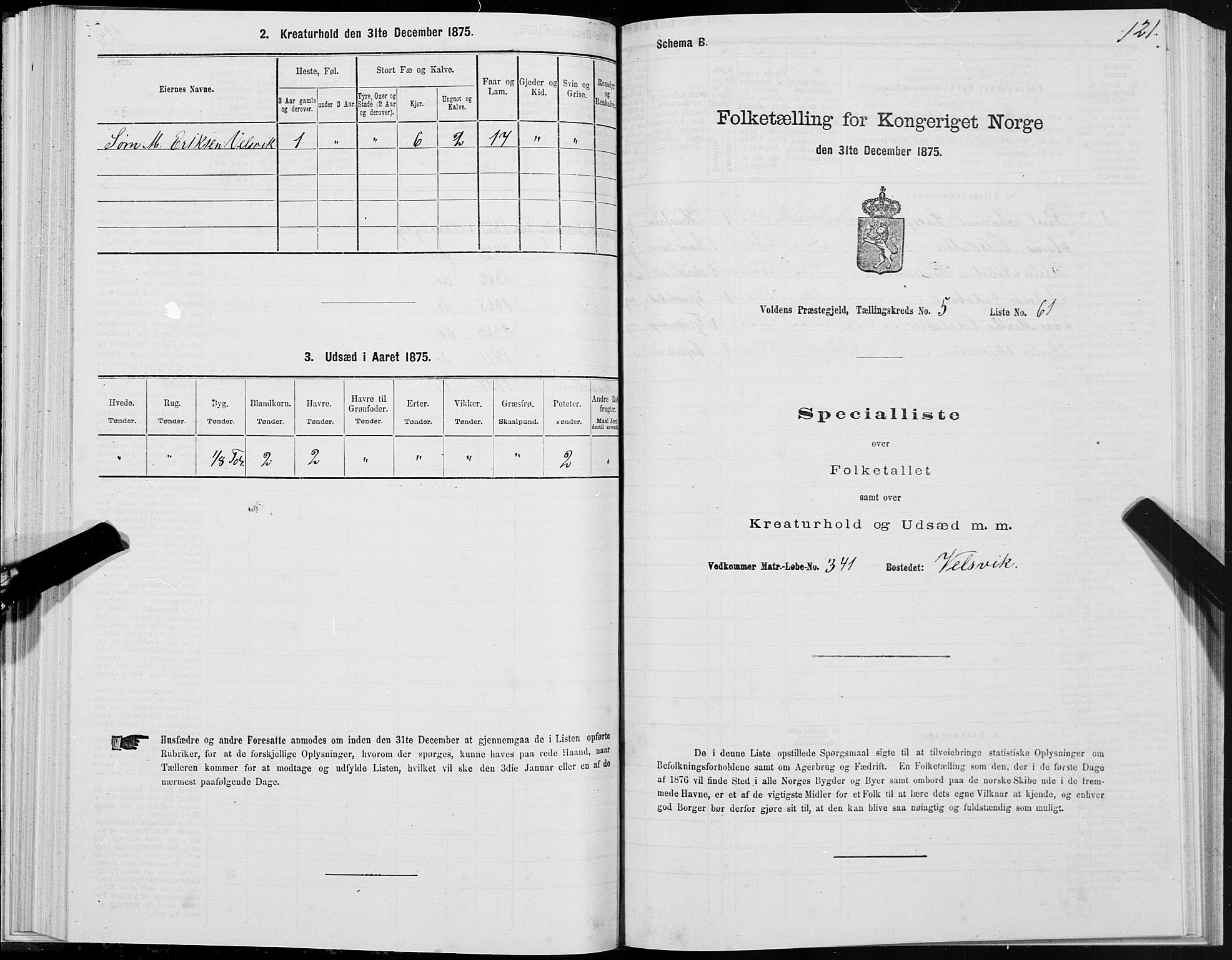 SAT, Folketelling 1875 for 1519P Volda prestegjeld, 1875, s. 4121