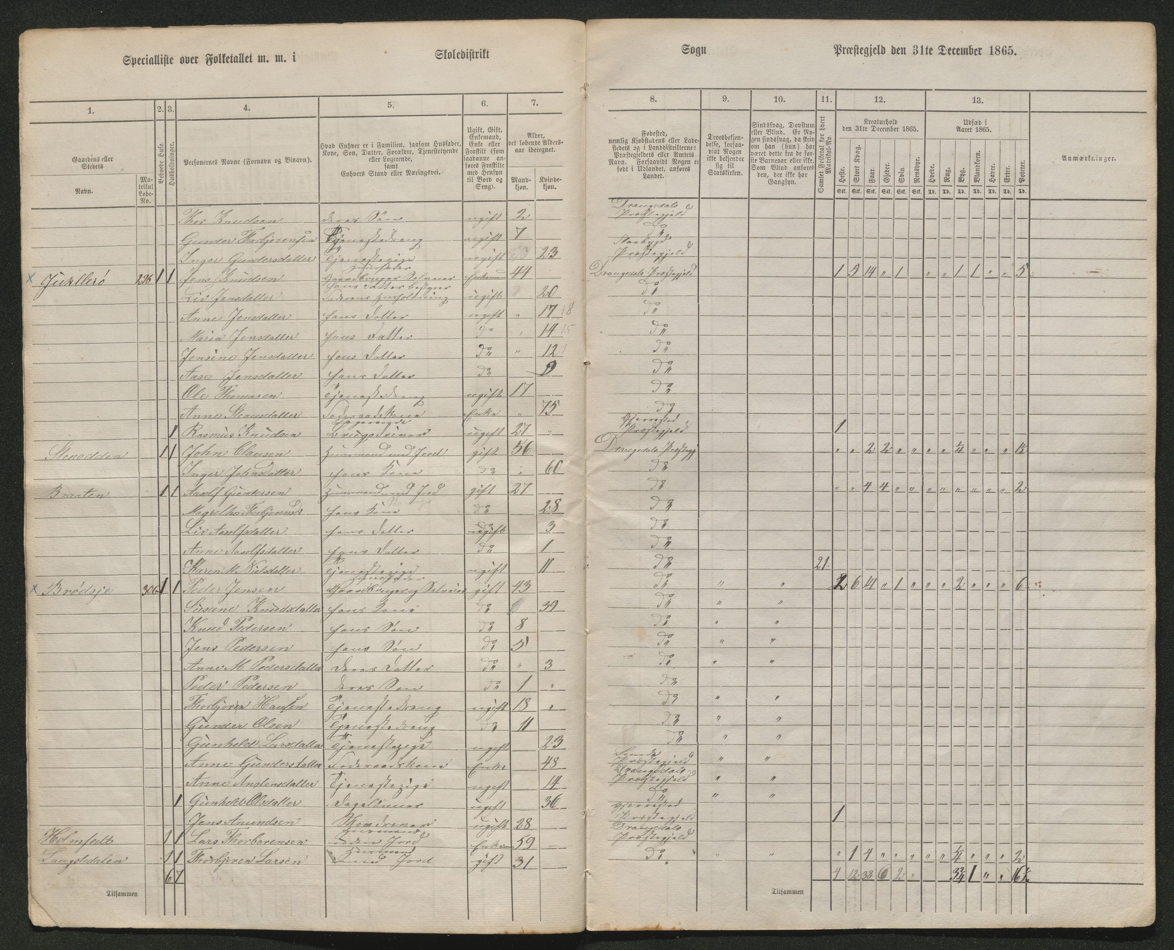 SAKO, Fantetellingen i Drangedal 1865, 1865, s. 29