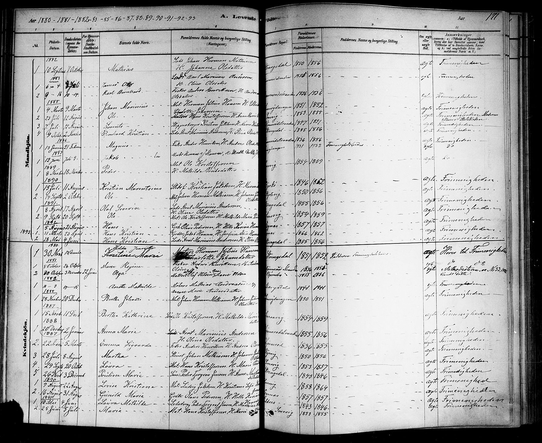 Nøtterøy kirkebøker, AV/SAKO-A-354/F/Fa/L0008: Ministerialbok nr. I 8, 1878-1893, s. 171