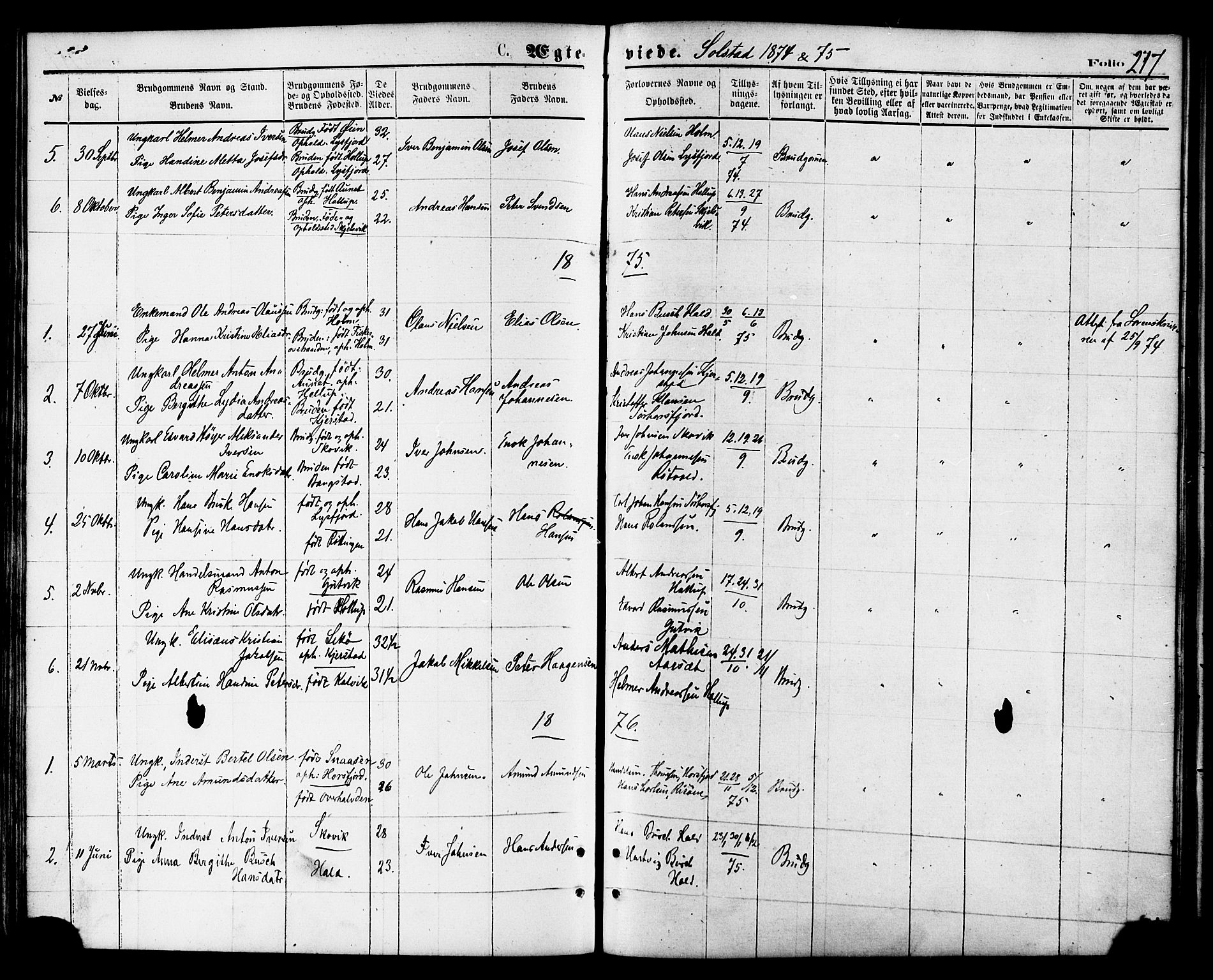 Ministerialprotokoller, klokkerbøker og fødselsregistre - Nordland, AV/SAT-A-1459/810/L0149: Ministerialbok nr. 810A09 /2, 1874-1884, s. 217