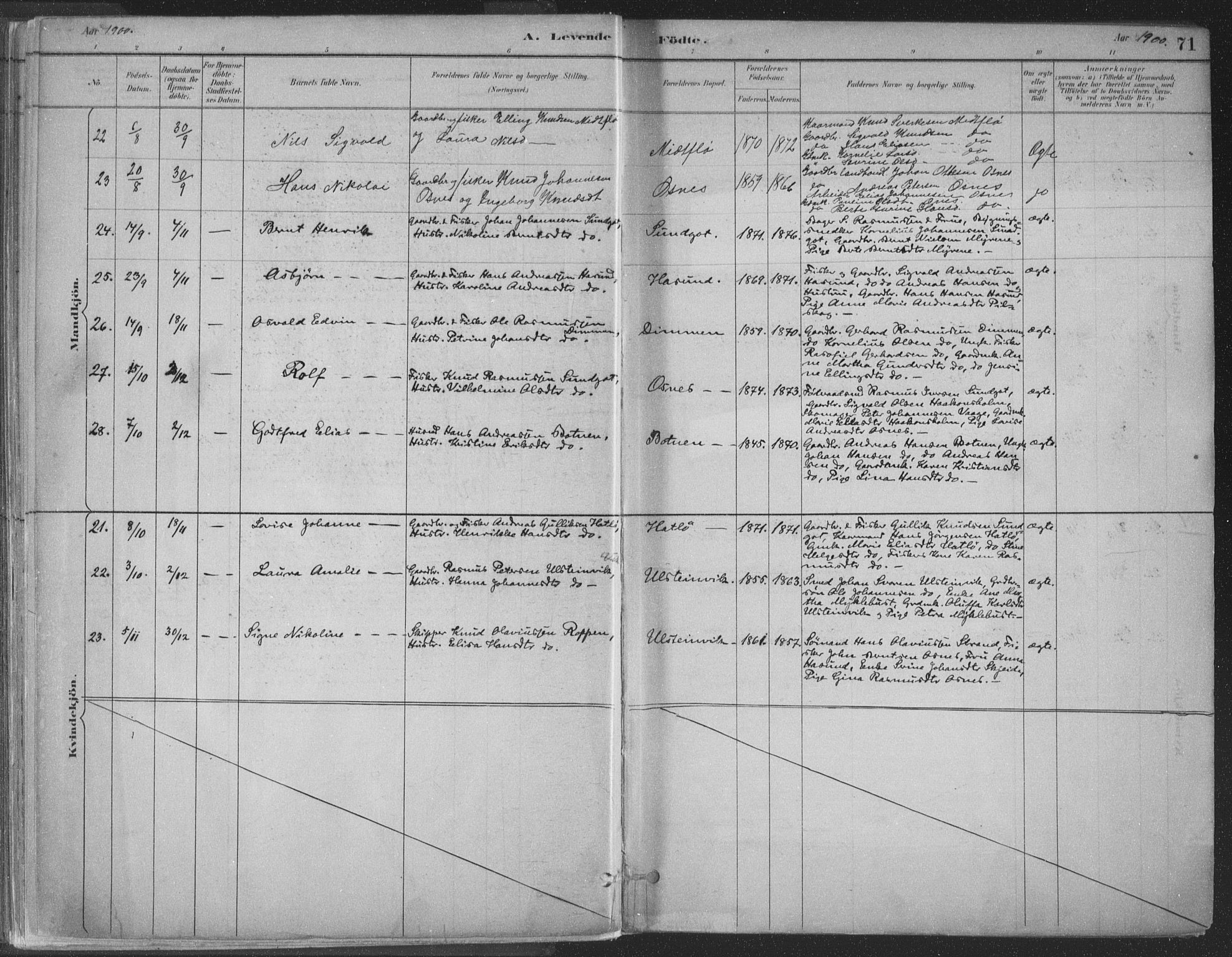 Ministerialprotokoller, klokkerbøker og fødselsregistre - Møre og Romsdal, SAT/A-1454/509/L0106: Ministerialbok nr. 509A04, 1883-1922, s. 71